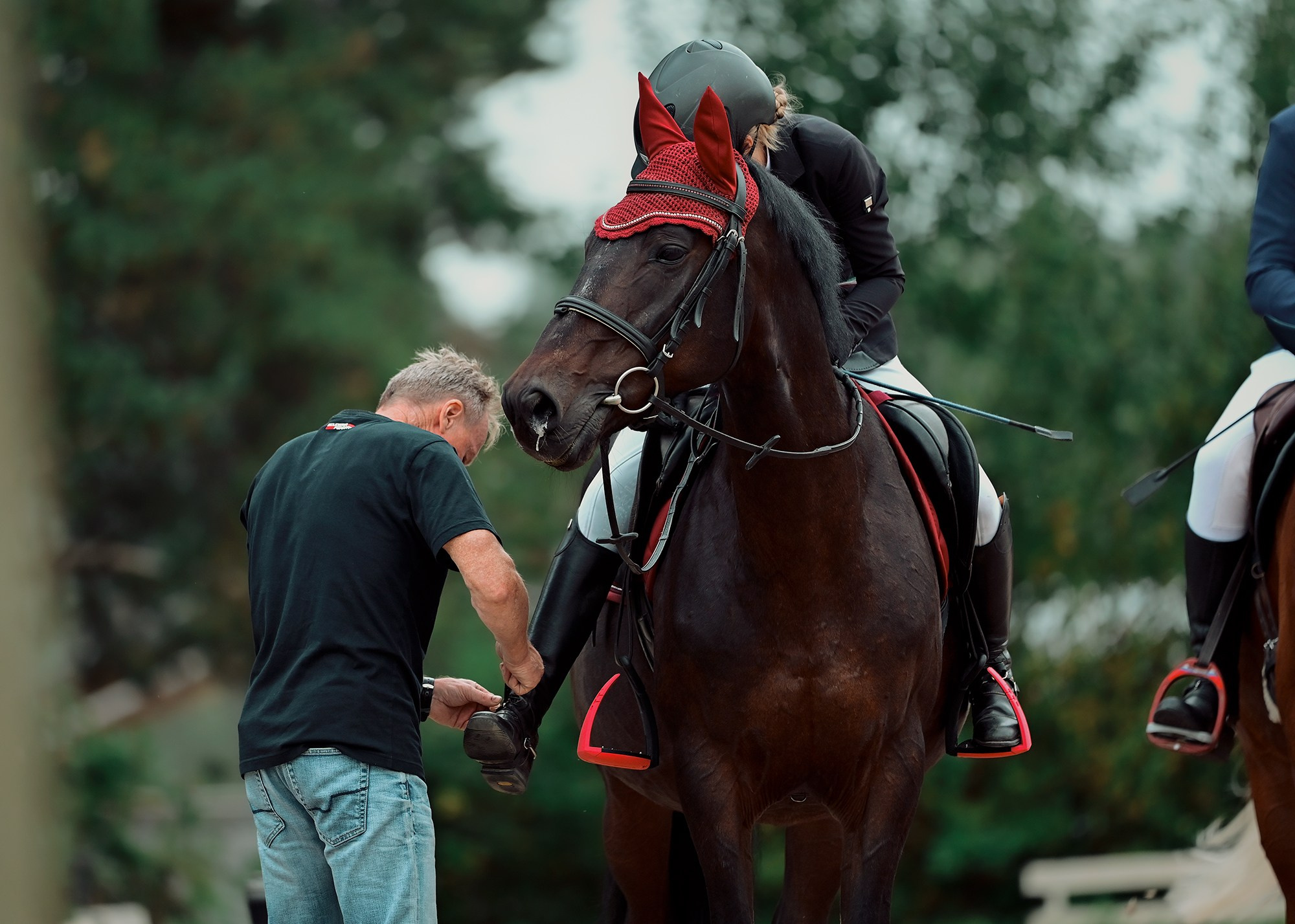 Конкур. Конный фотограф Alesya Safe