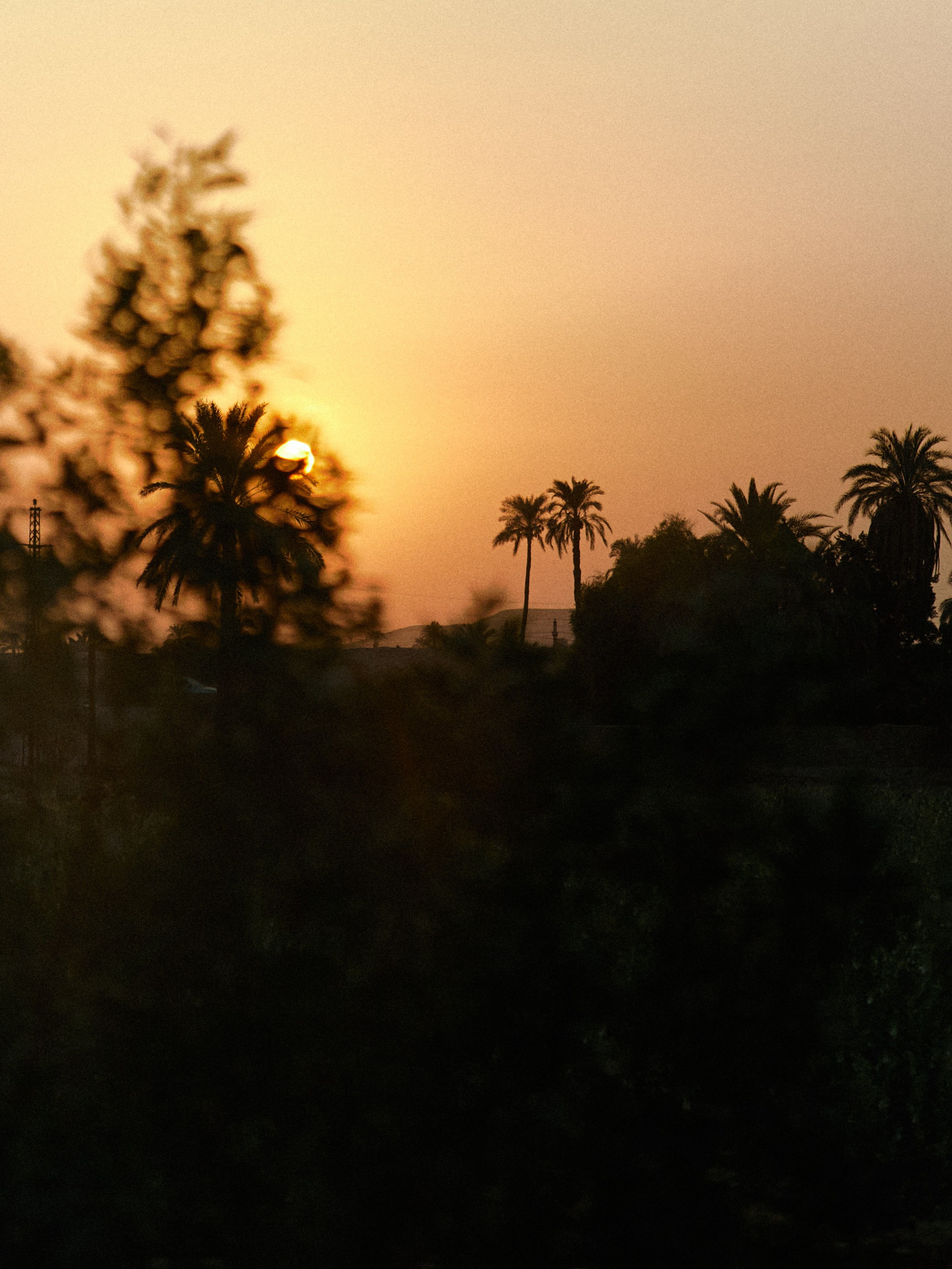 Диптих. Jorgis — фотограф в Хургаде / обучение фотографии