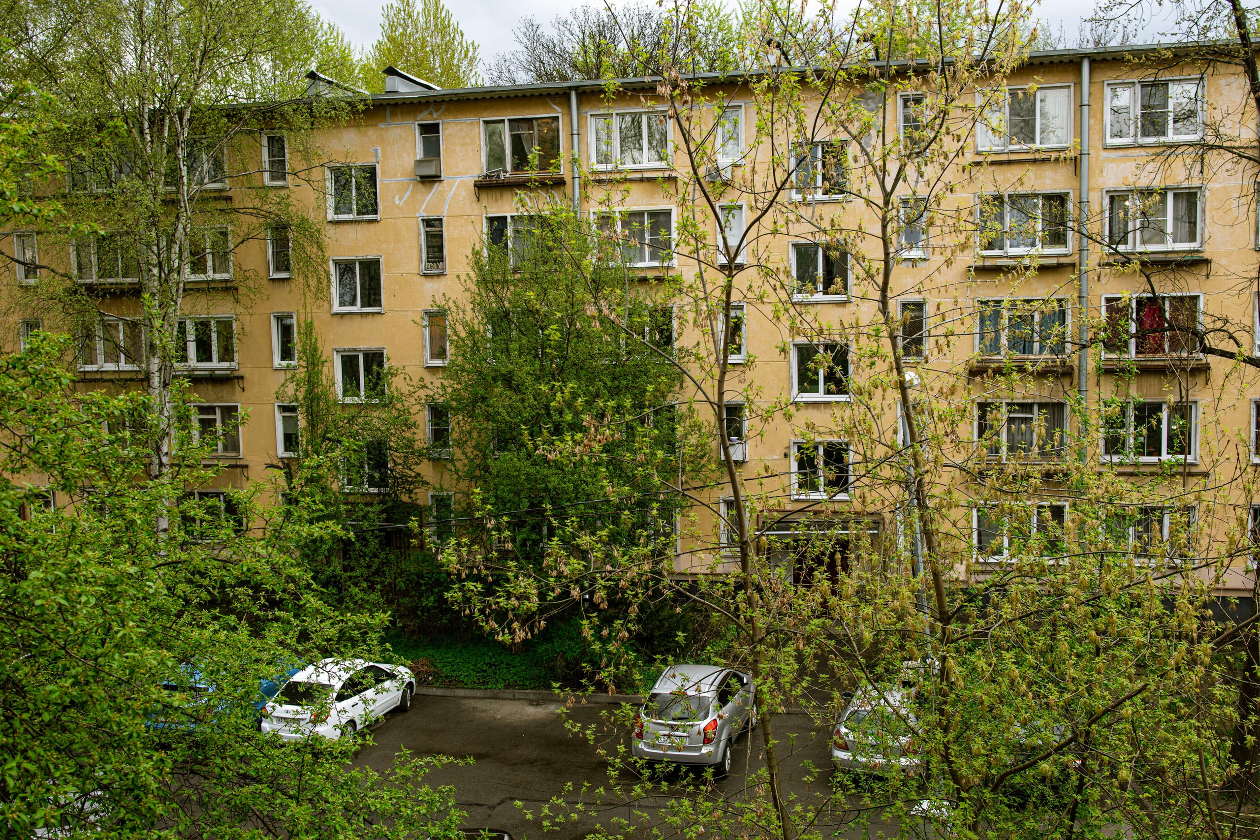 После дождя. Самид Али, фотограф из Санкт-Петербурга, Россия