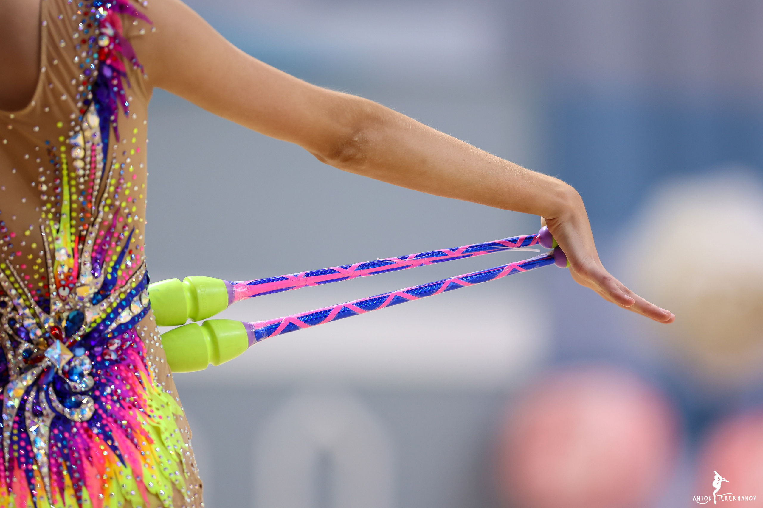 Кубок Санкт-Петербурга 23–25 ноября 2023. Спортивный и репортажный фотограф Антон Тереханов