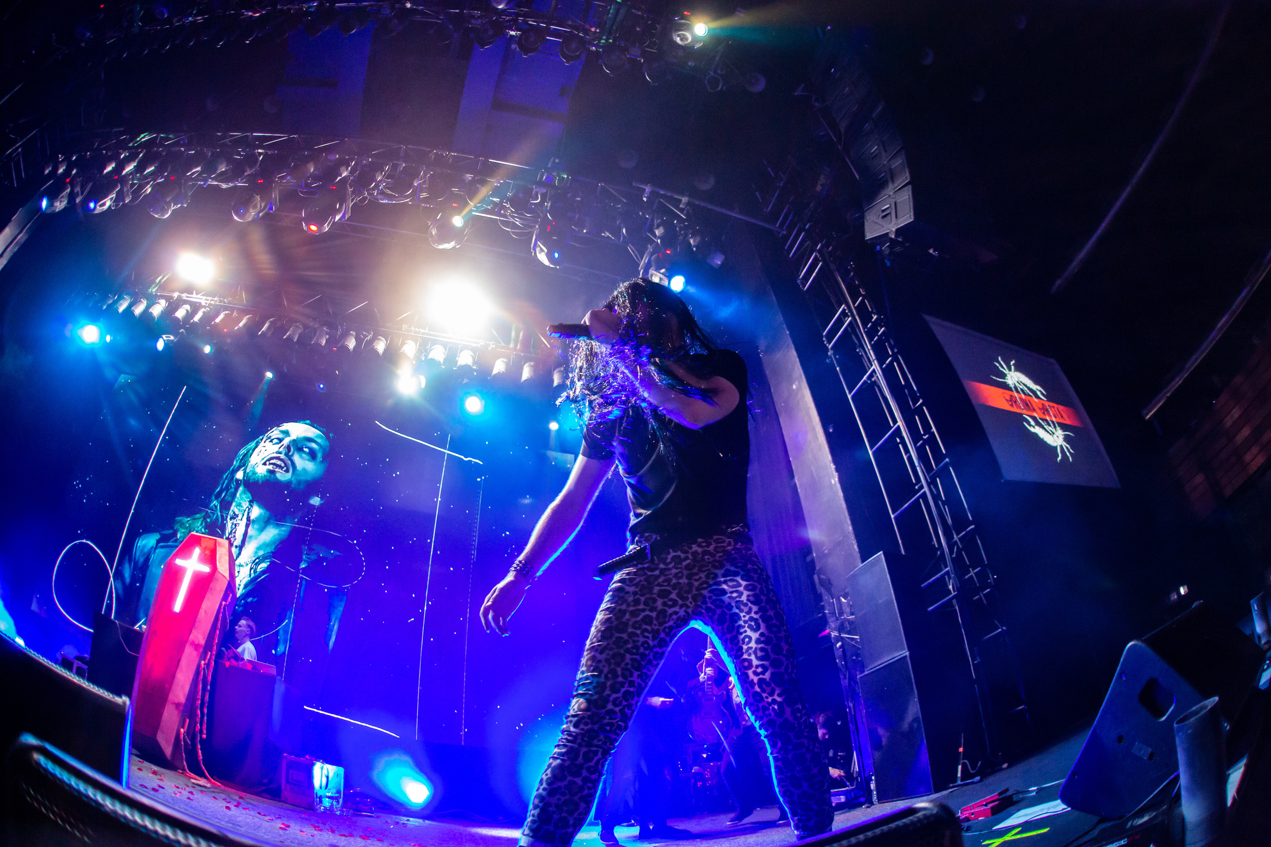 2rbina 2rista. Photographer Sonkina Tatiana (Tanya Ash)