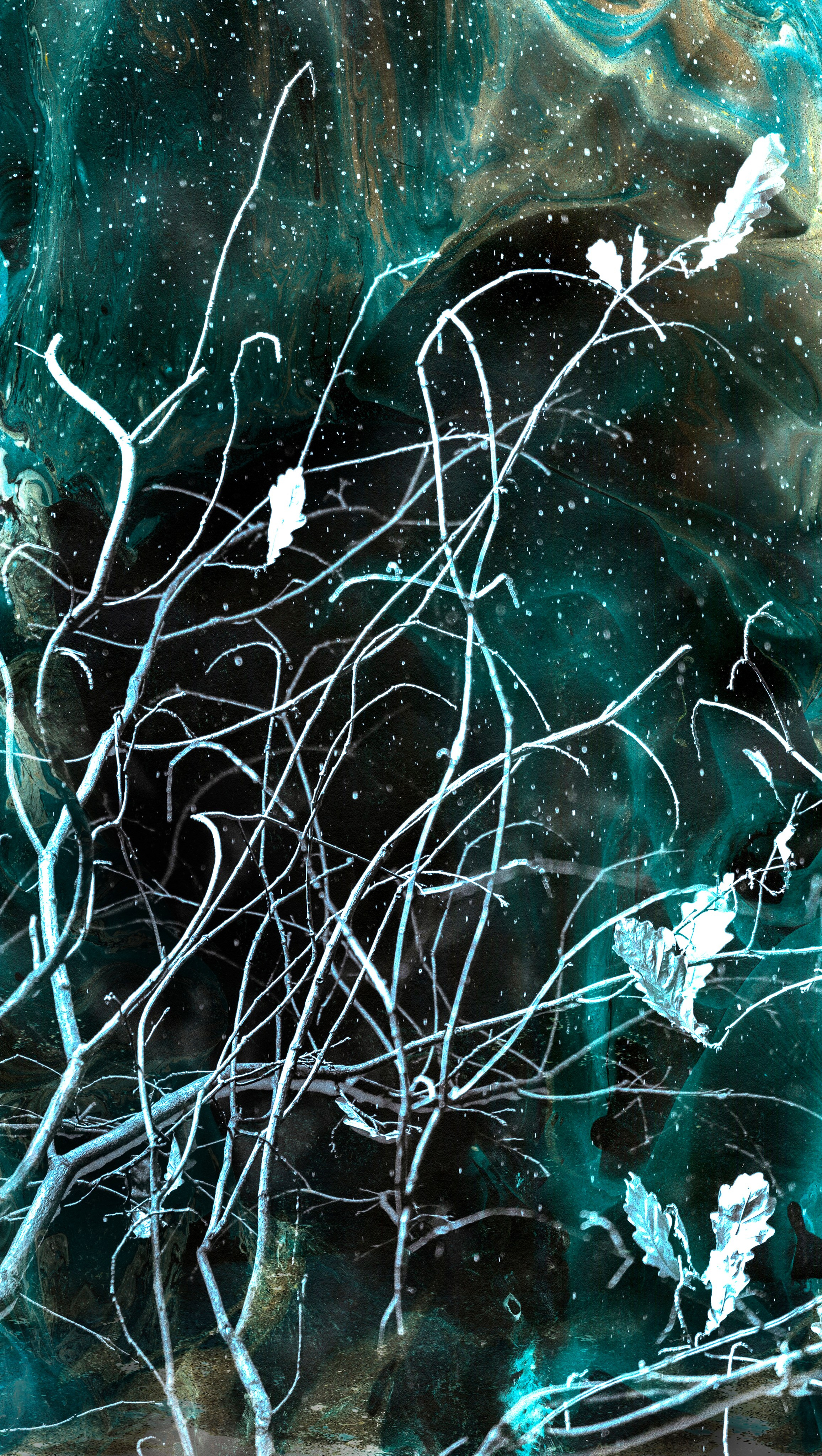 Фантасмагория. Мари Линёк-Стельмах Фотохудожник Санкт-Петербург/Урал