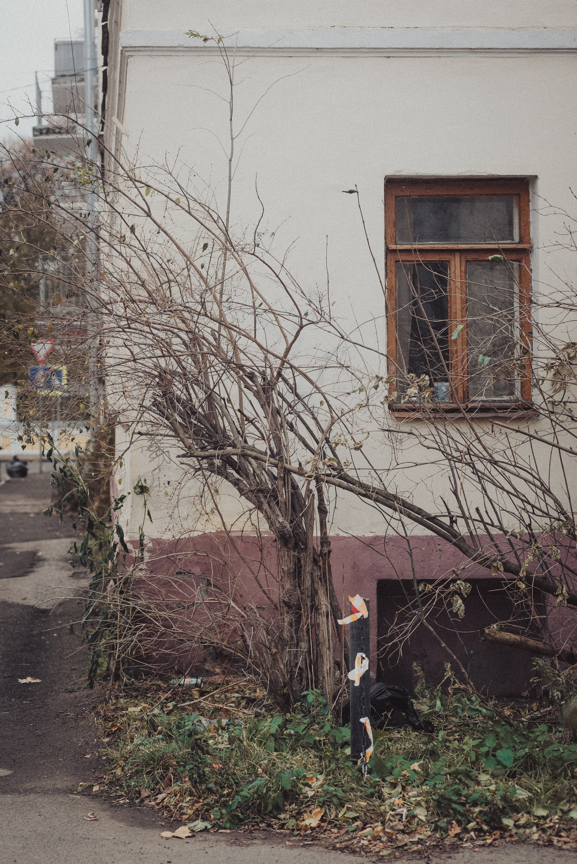 Проект #улицыгорода. Ярославль, улица Волкова. Документальный фотограф Илья Тихановский