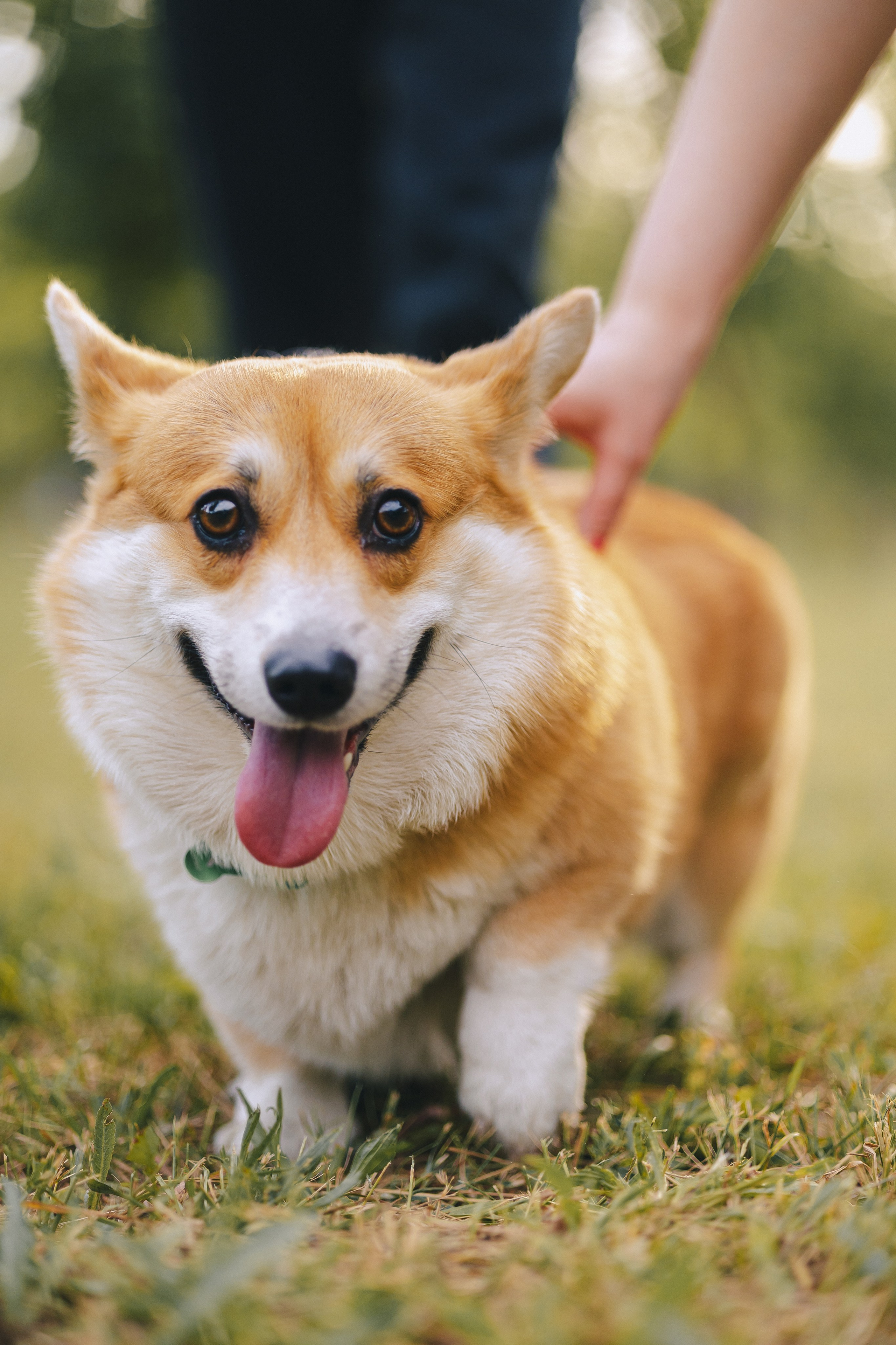Рита, Денис и Кирилл. Фотограф Таганрог Любимая Надя
