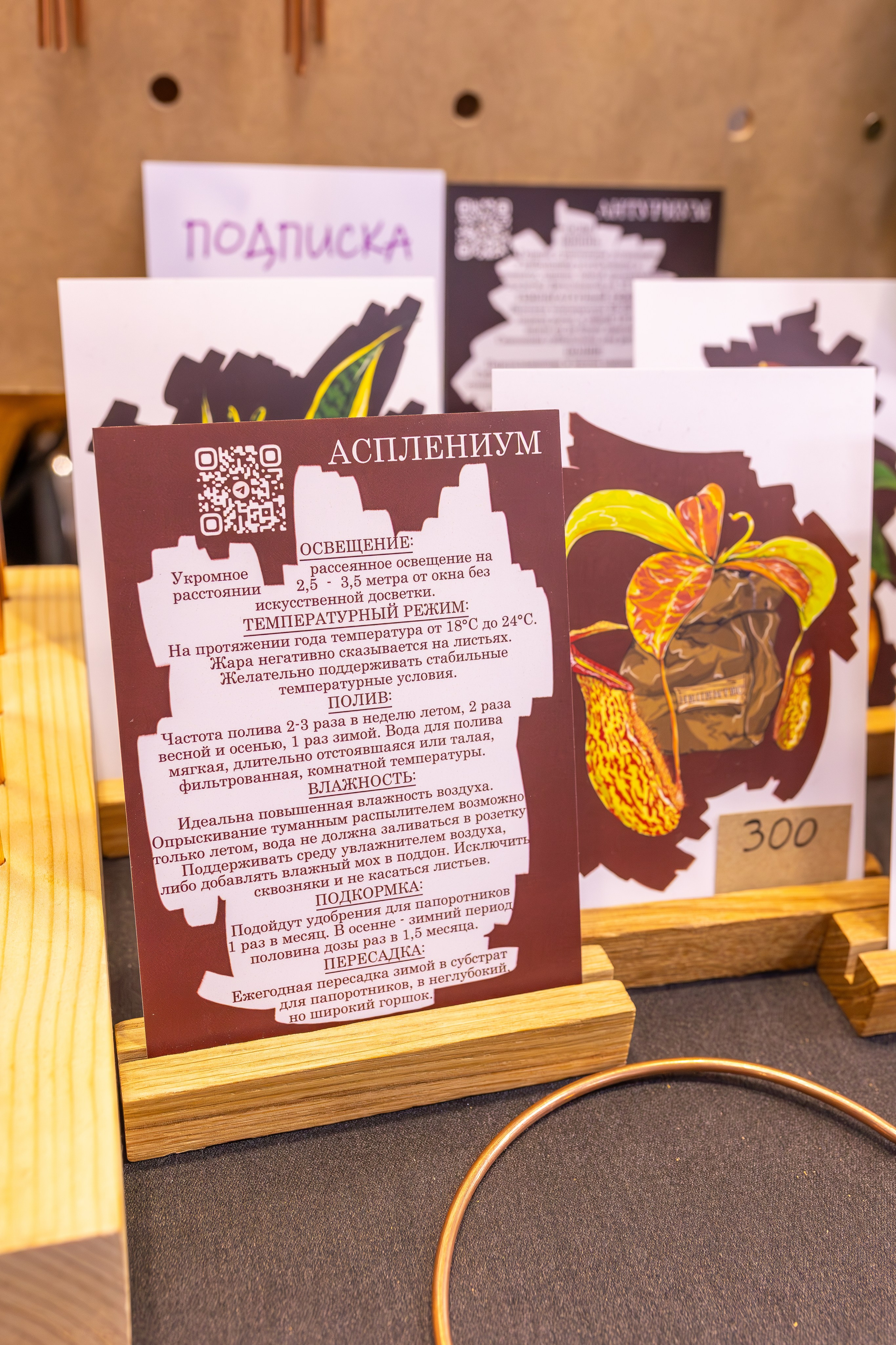 Монстериум апрель 2026. Александра Куликова фотограф, Москва