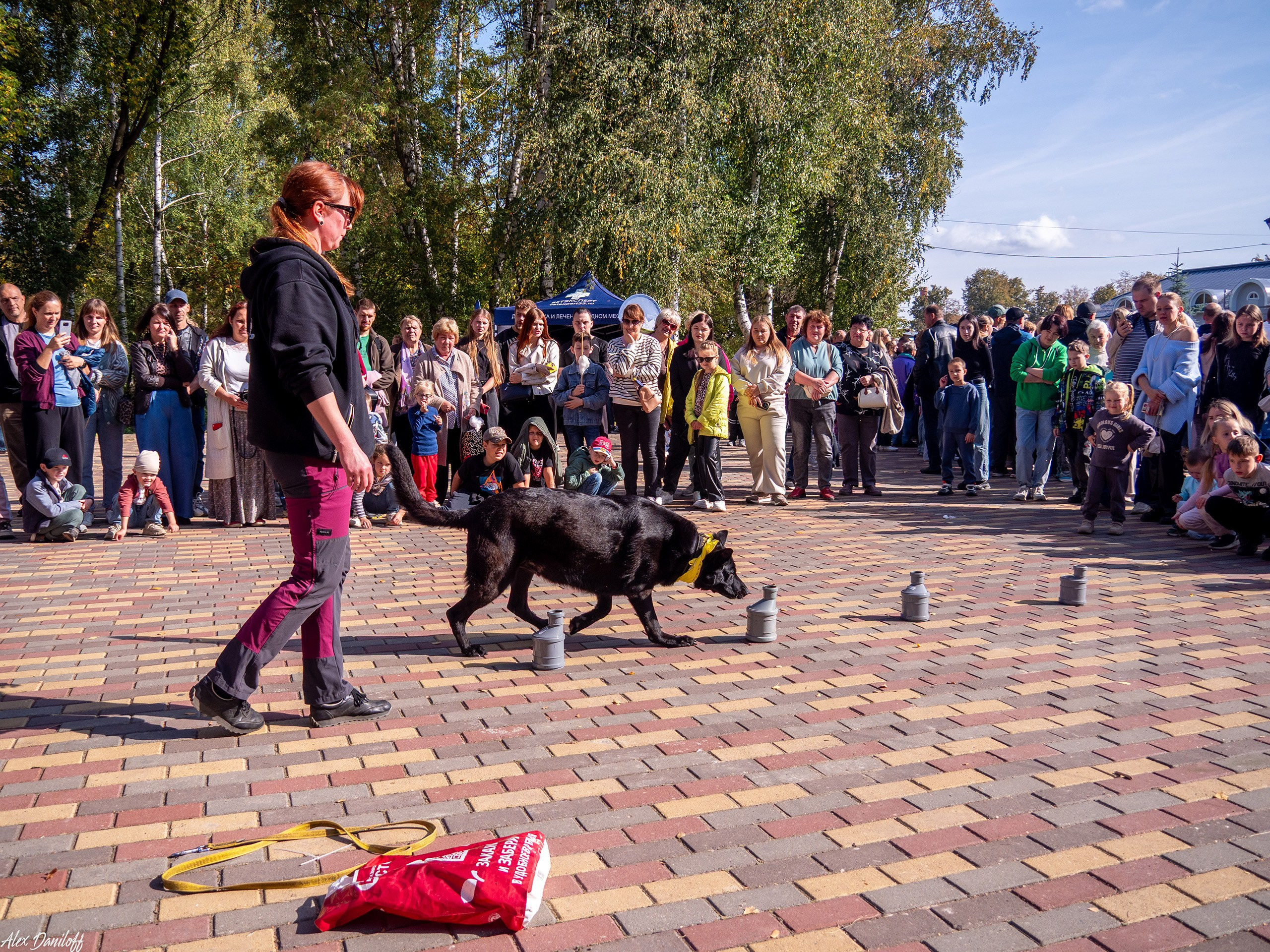 Обнимака 2025. Муром-Инфо. Новости культуры, образования, спорта в городе Муром