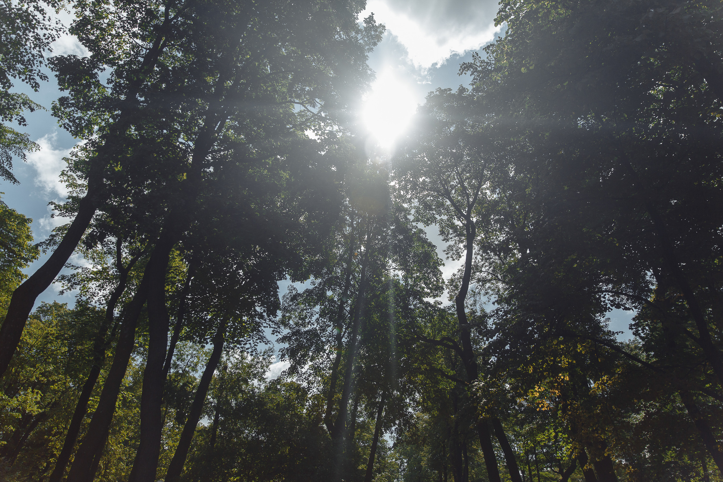 Свадебное фото Жени и Лены. Свадебный фотограф СПБ Михаил Песиков