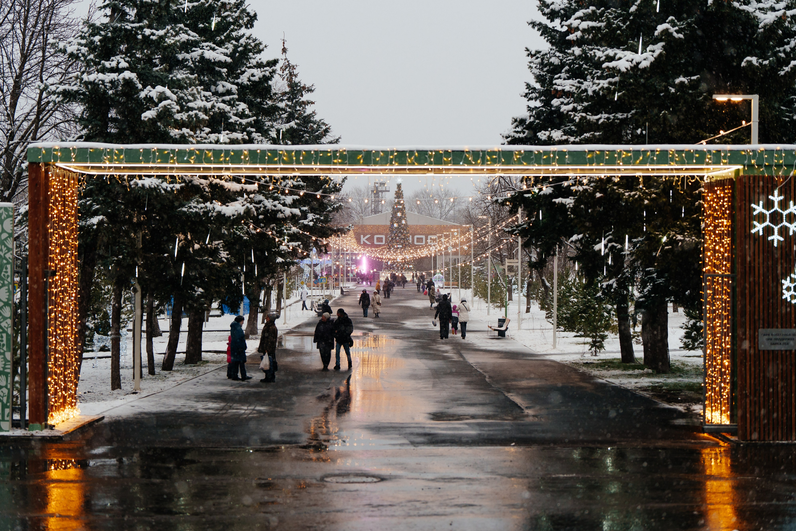 Открытие парка в Луганске. Студия событий ДЕЙЗИ. Организация мероприятий. Свадебное агентство в Ростове-на-Дону. Свадебный организатор. Организация свадьбы под ключ