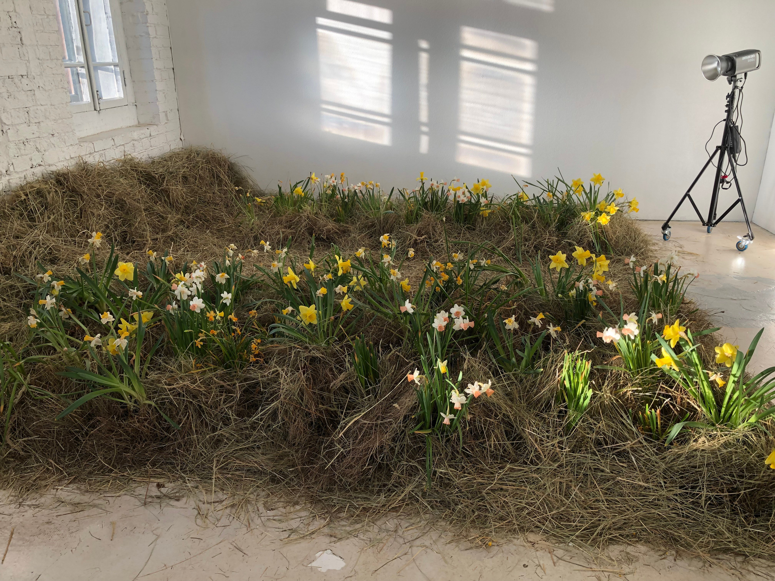 Фотостудия МОХ зал Свет. Фотограф Настя Лев