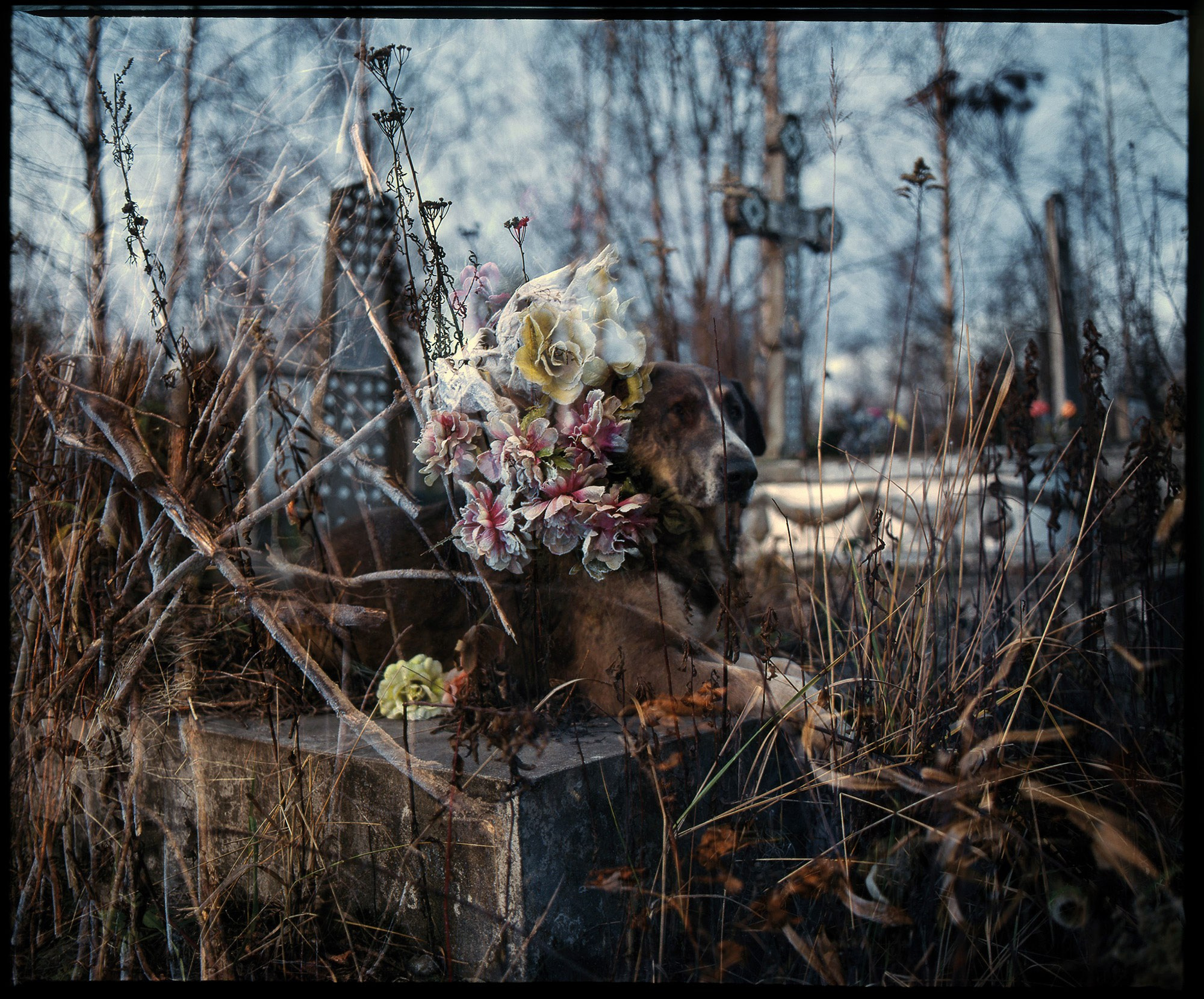 OBJECT PASSPORT. Valery Morozov