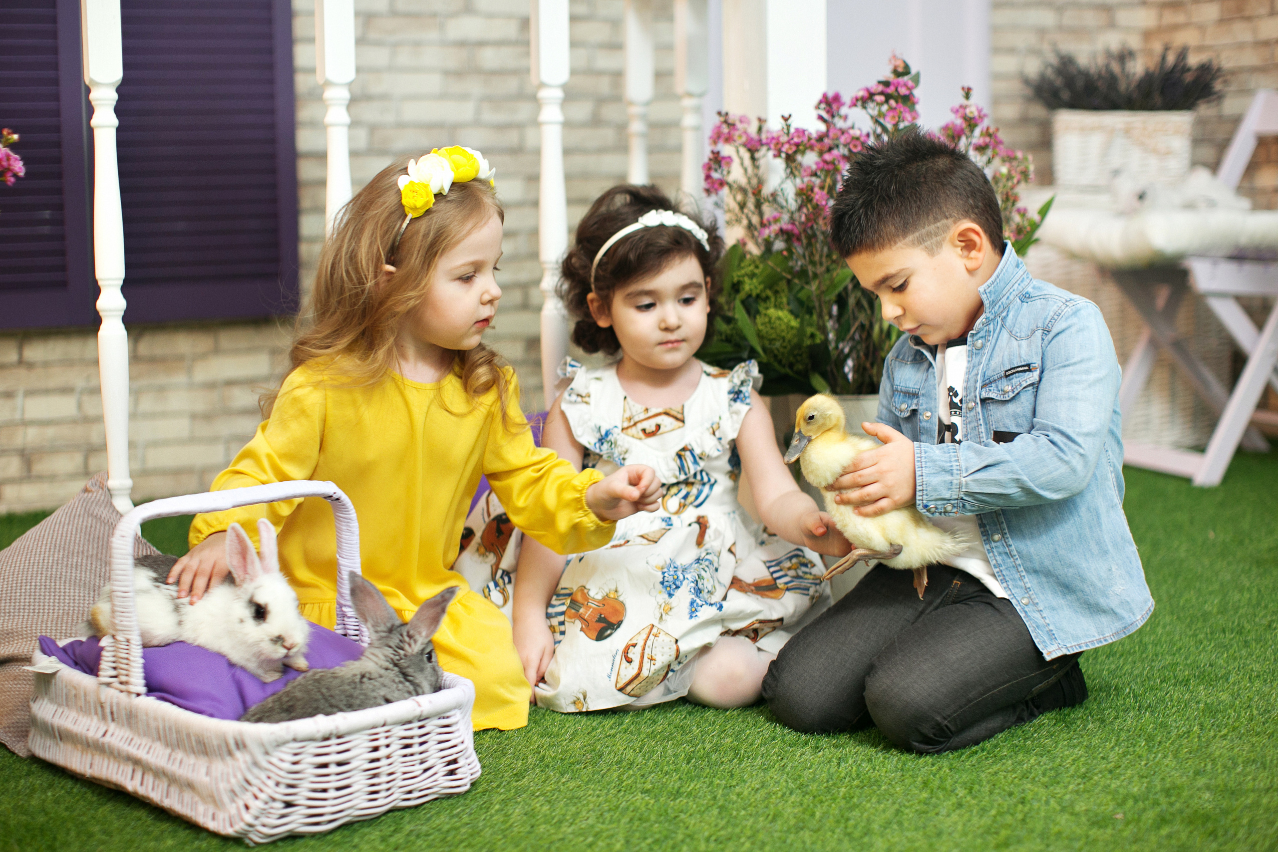 Весенние фотосессии с утятами. Семейный, детский, newborn фотограф Москва,Московская обл Алла Риэр