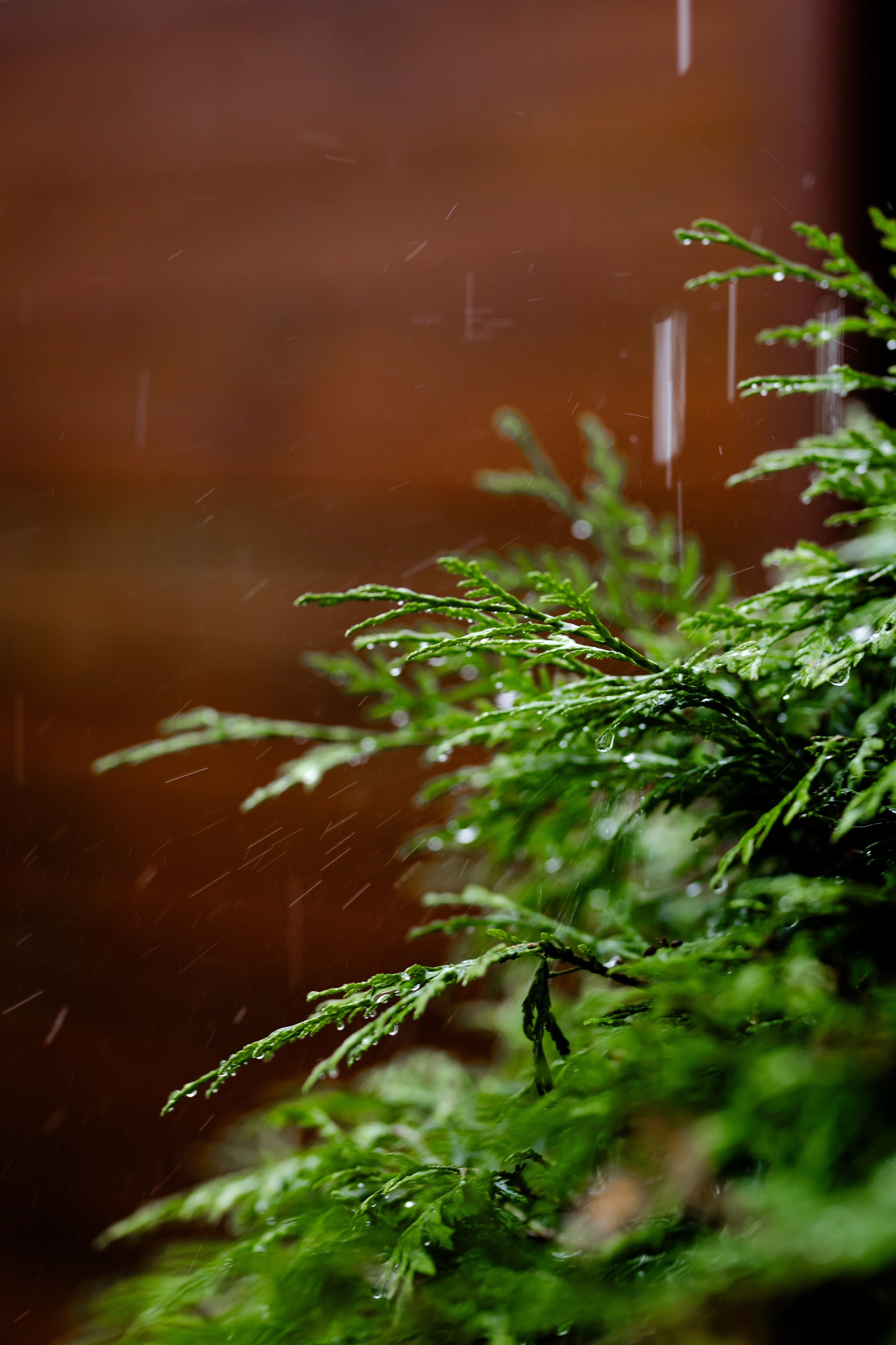 Свадебный день Сергея и Яны. Свадебный фотограф Анна Бабахина