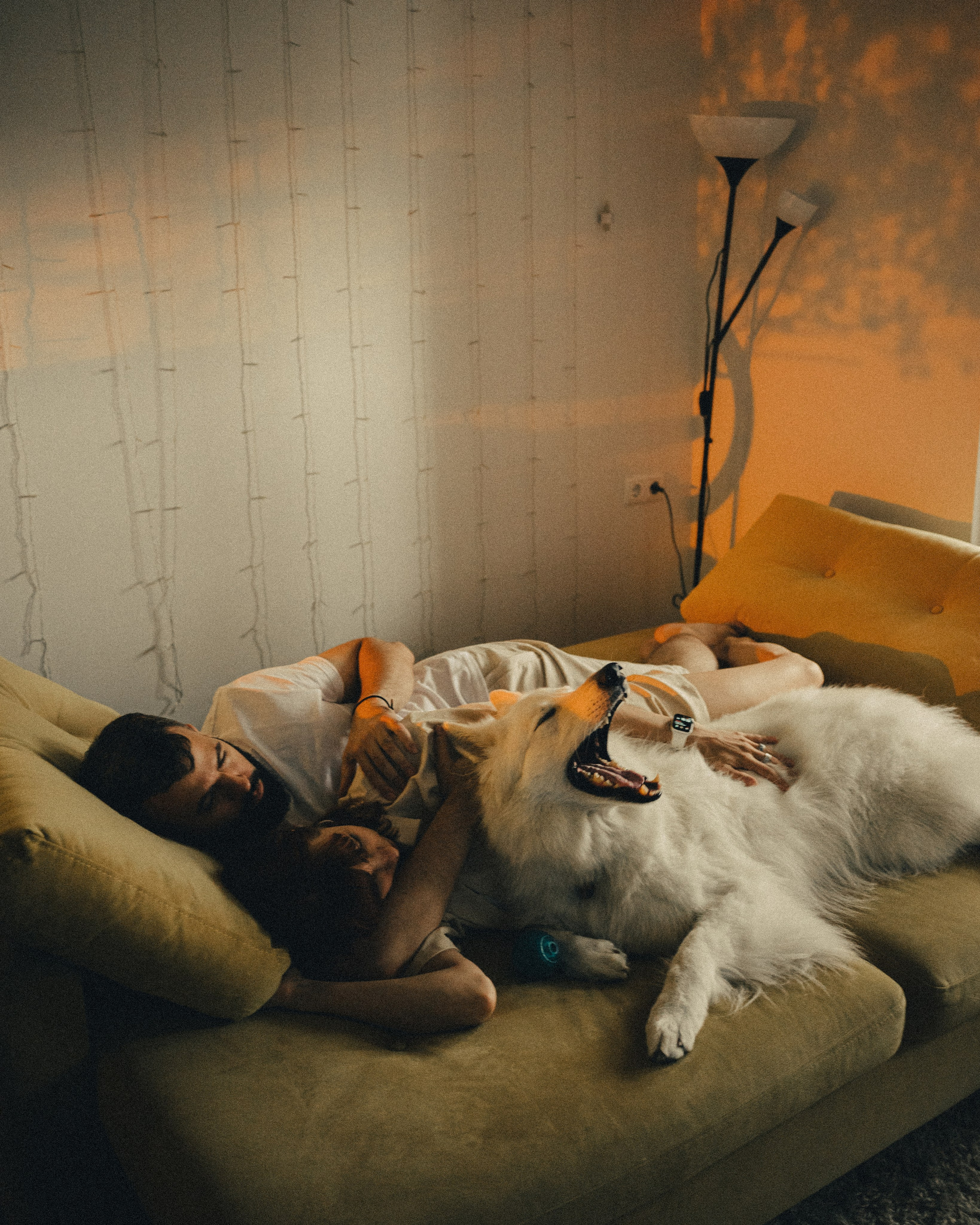 Катя, Костя и Джек