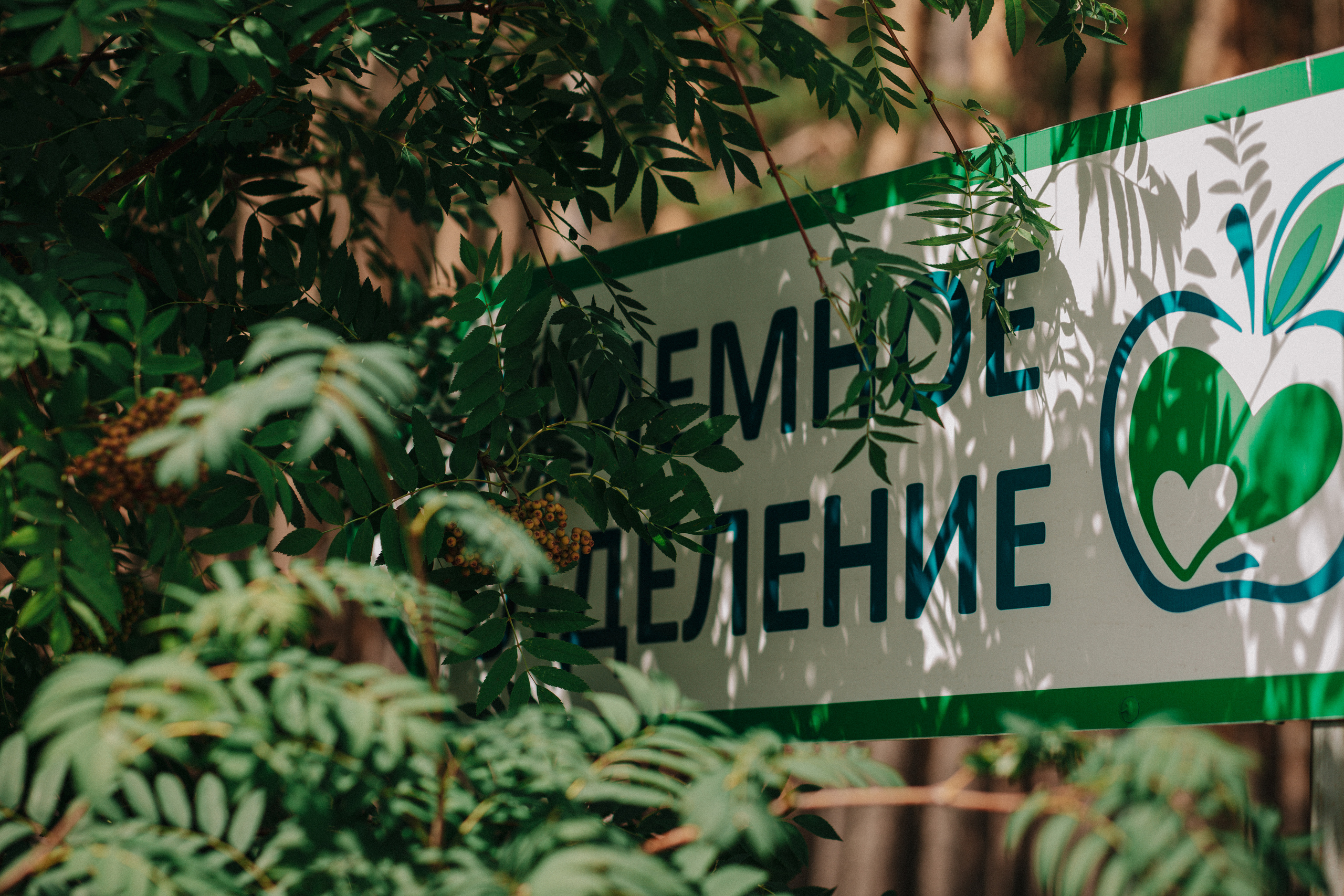 Выписка. Детский и семейный фотограф в Красноярске Настя Ярош