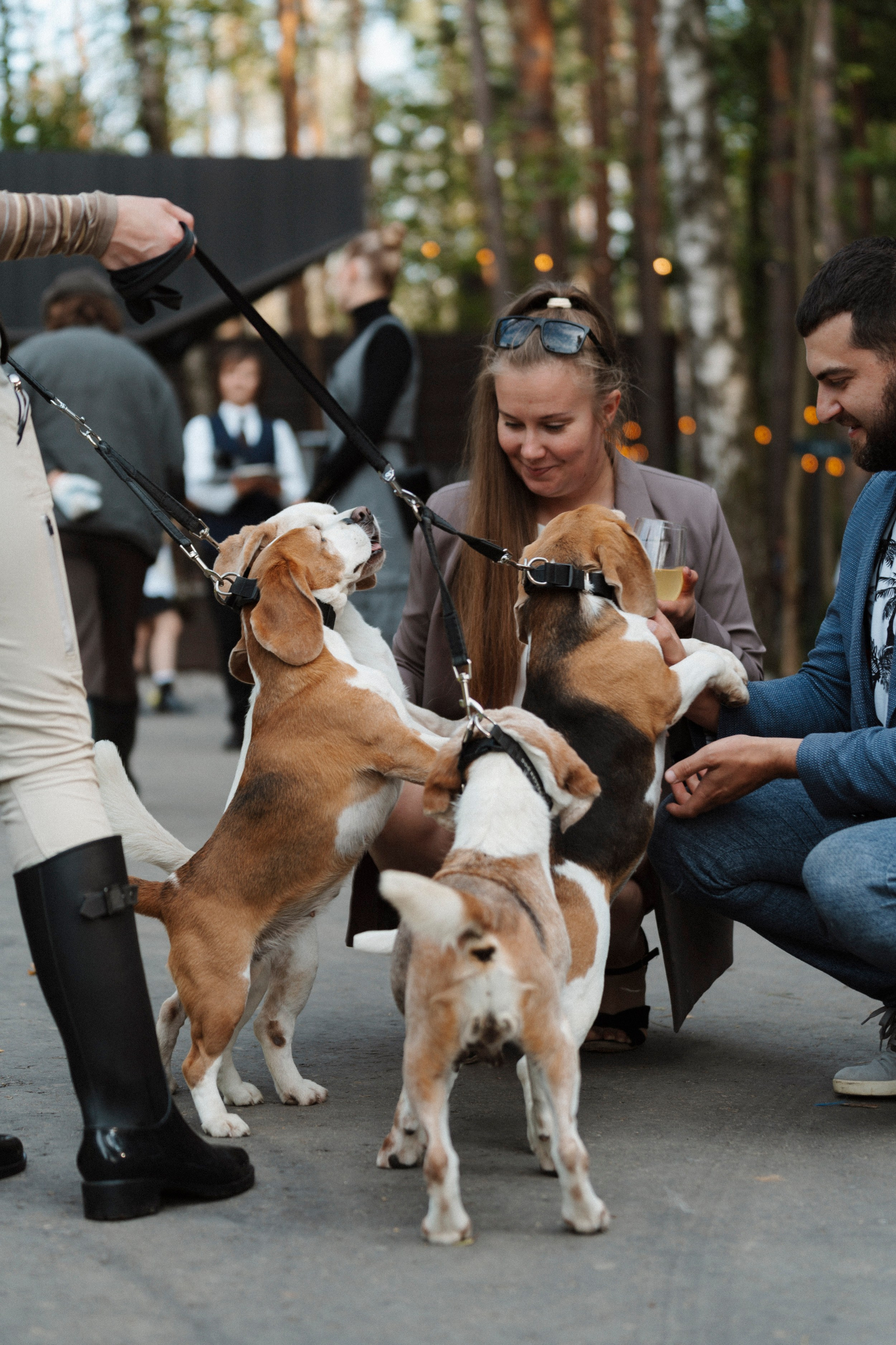 HUNTING SEASON/ LIGASTAVOK. Фотограф первого впечатления