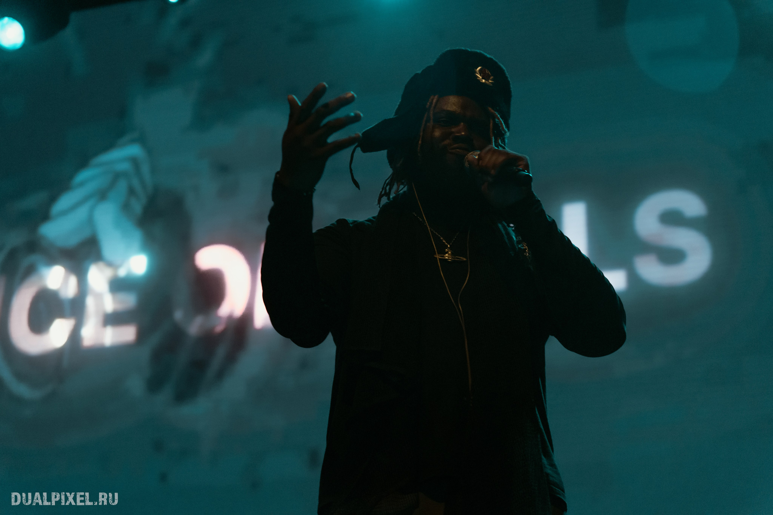 Prince Of Falls. Магия музыки в кадре: Концертная Фотография