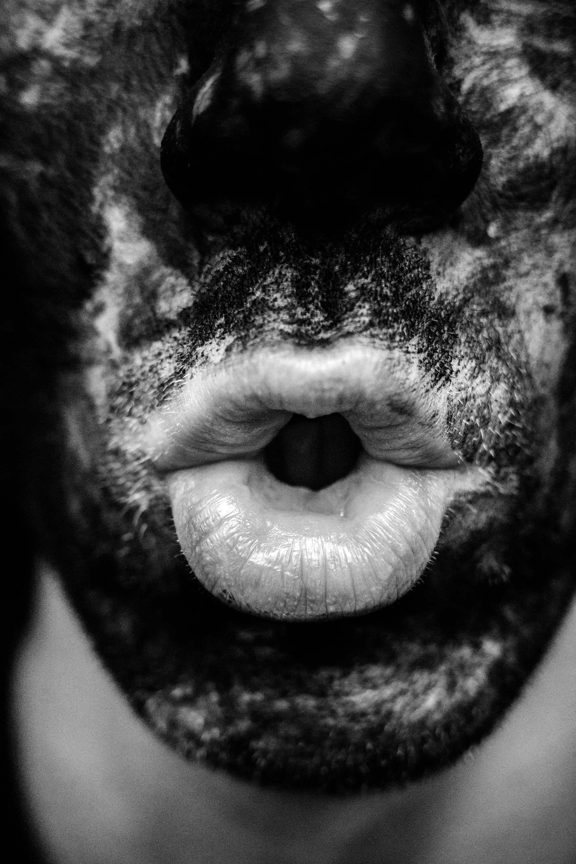 Body Parts. Self Portraiture. ✨misha khazov • photography • performance