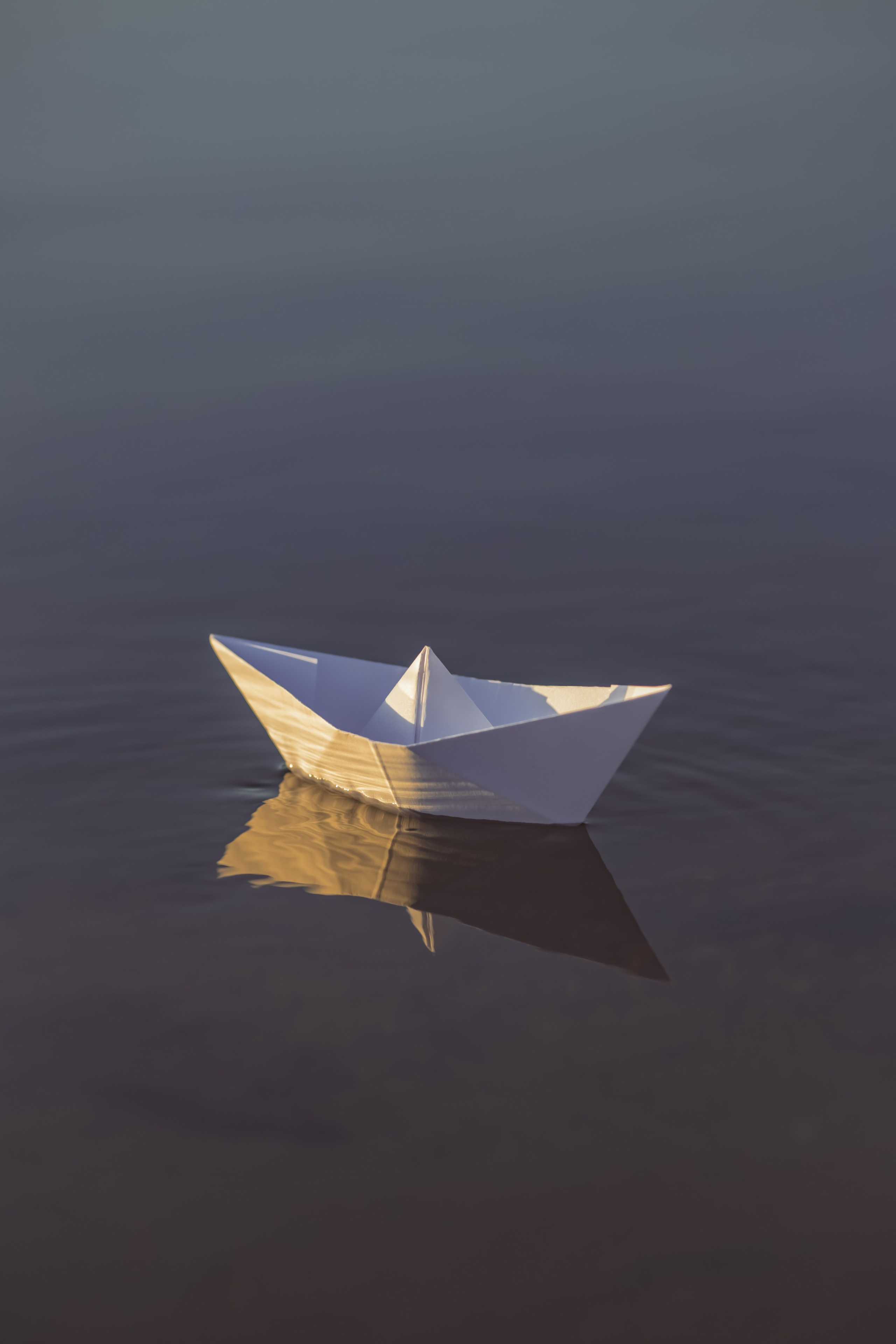 Роман и Матвей. Детский и семейный фотограф Евгения Вахнеева Москва Зеленоград