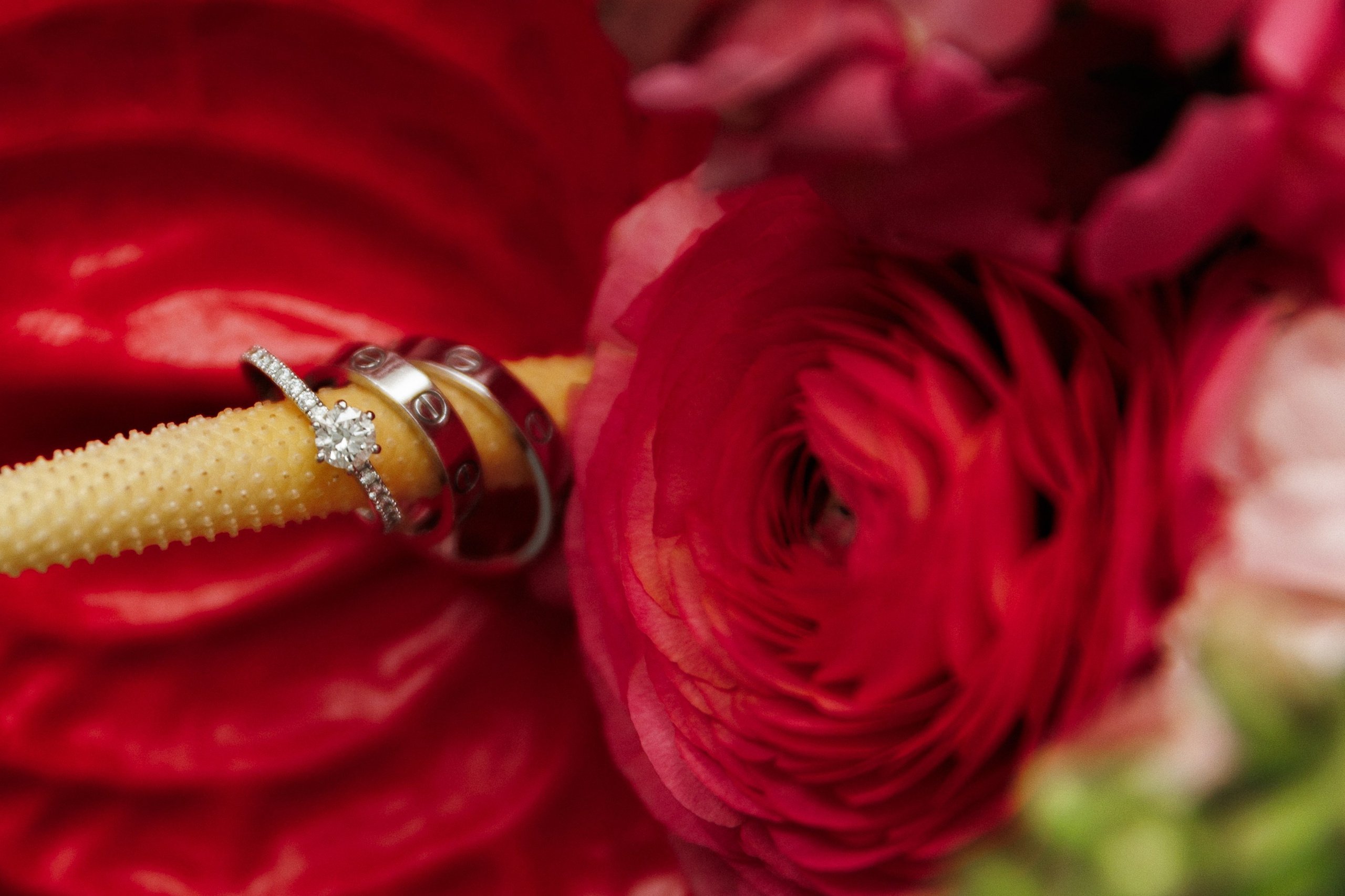 Элина и Юрий. Свадебный и семейный фотограф в Краснодаре и крае