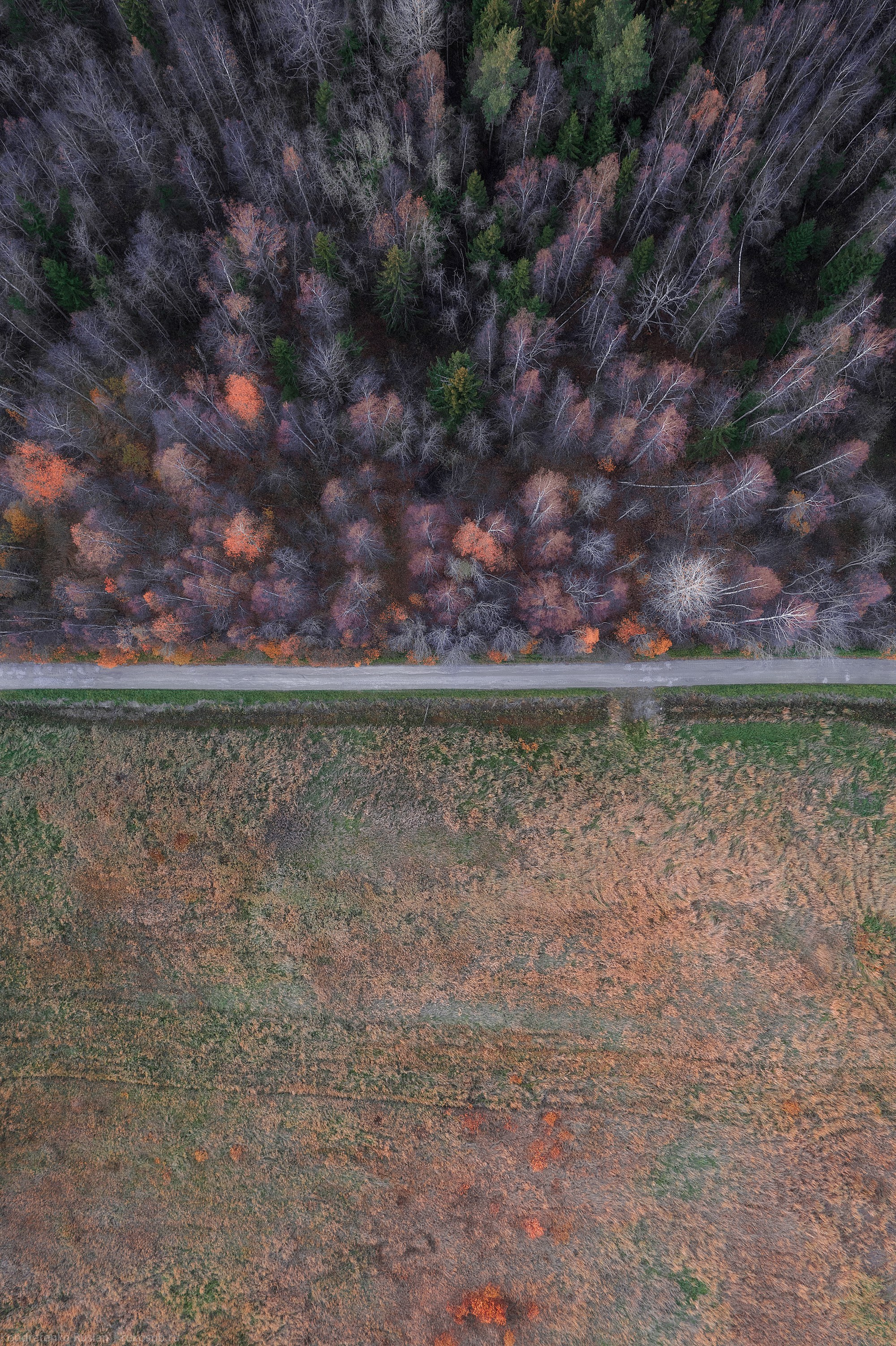 Ленинградская область. Архитектурный и пейзажный фотограф Кондратенко Руслан, Санкт-Петербург