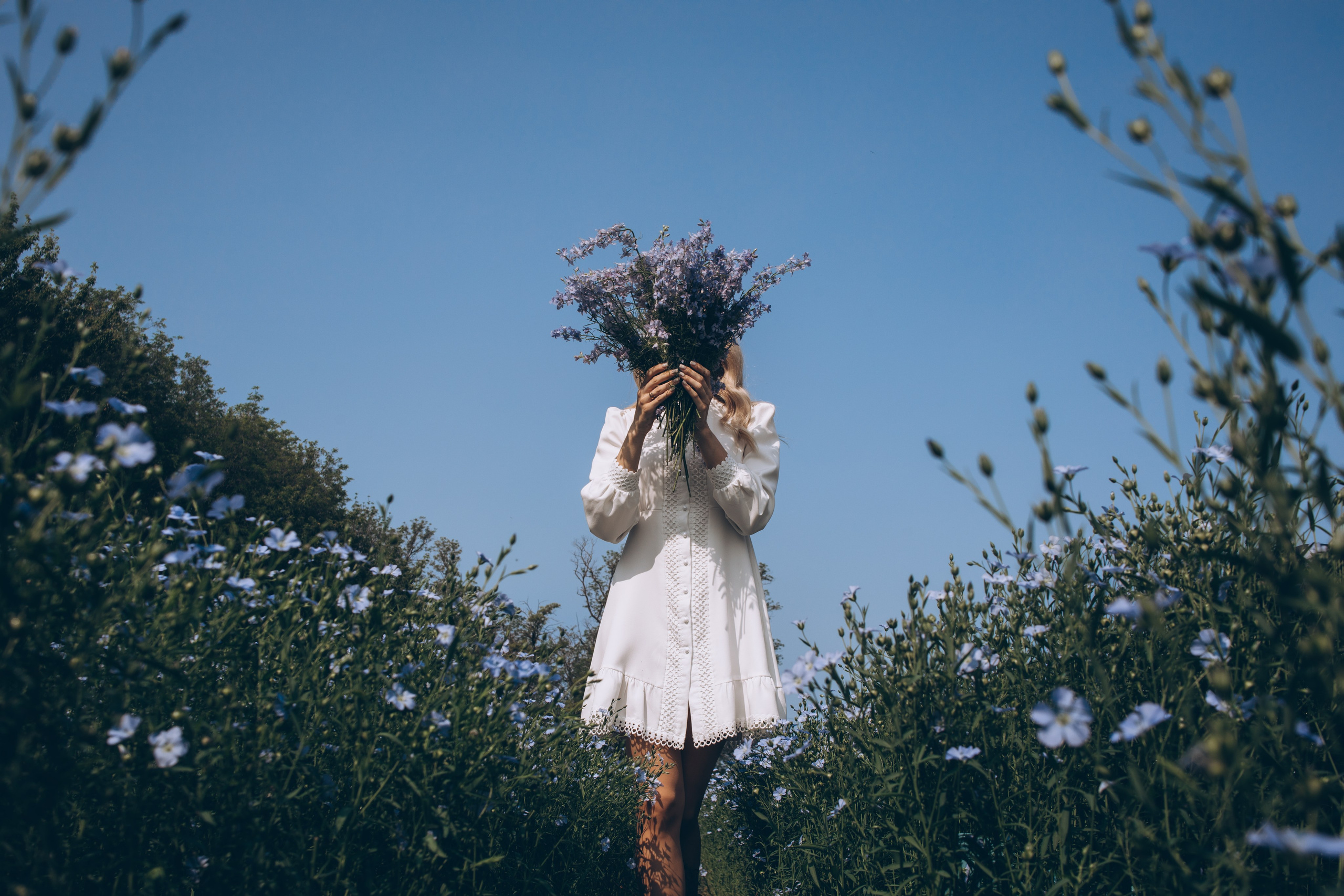 Фотосессия в поле льна. Свадебный и семейный фотограф в Краснодарском крае Мария Данилкина