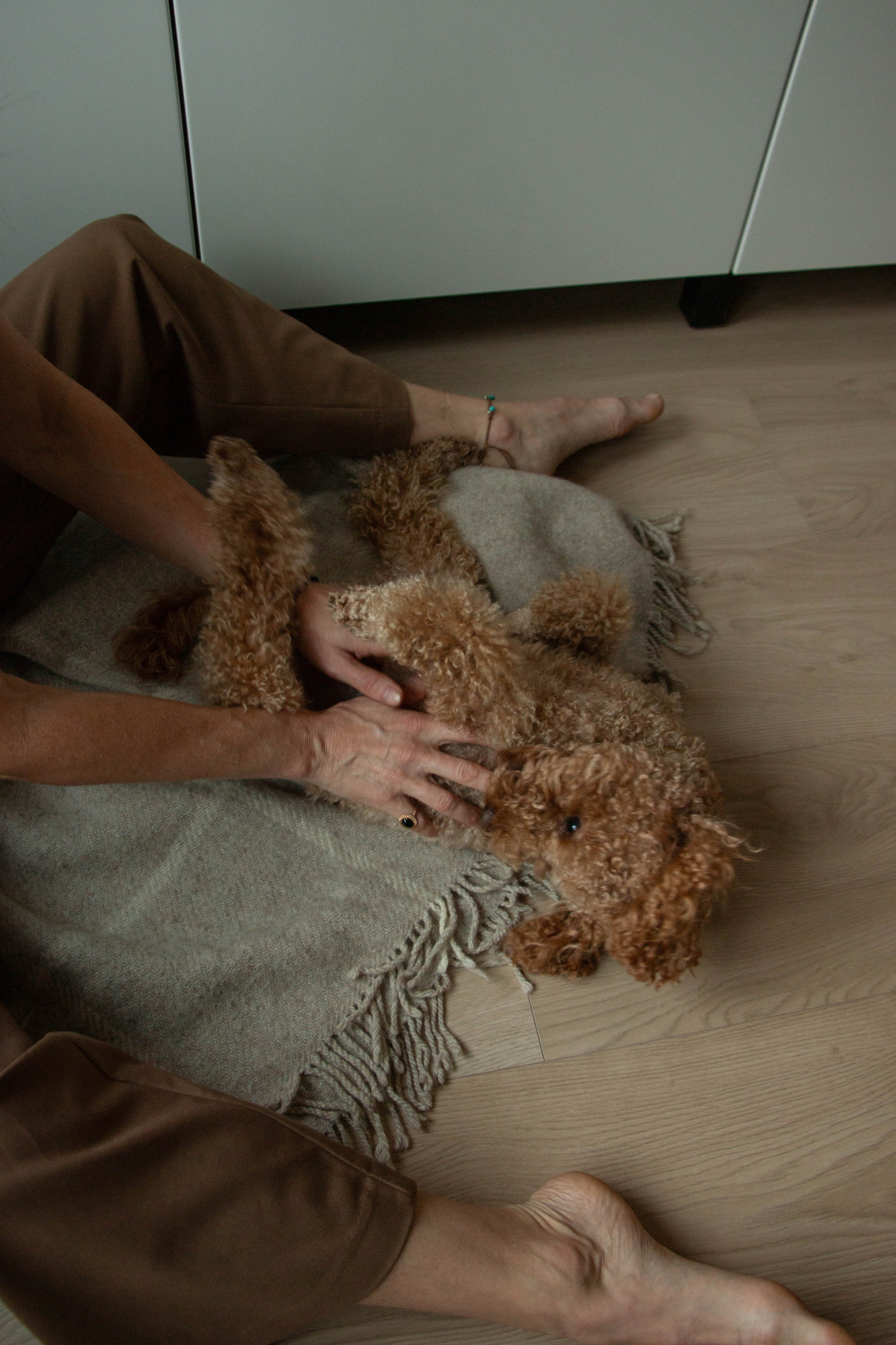 Olga & Eric. Бережно сохраняю ваши чувства и истории на своих фотографиях