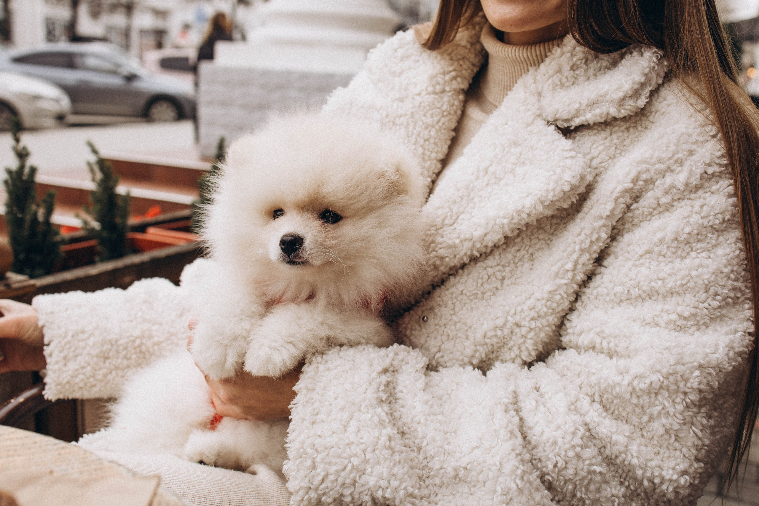 Di. Фотограф Немазенко Ольга