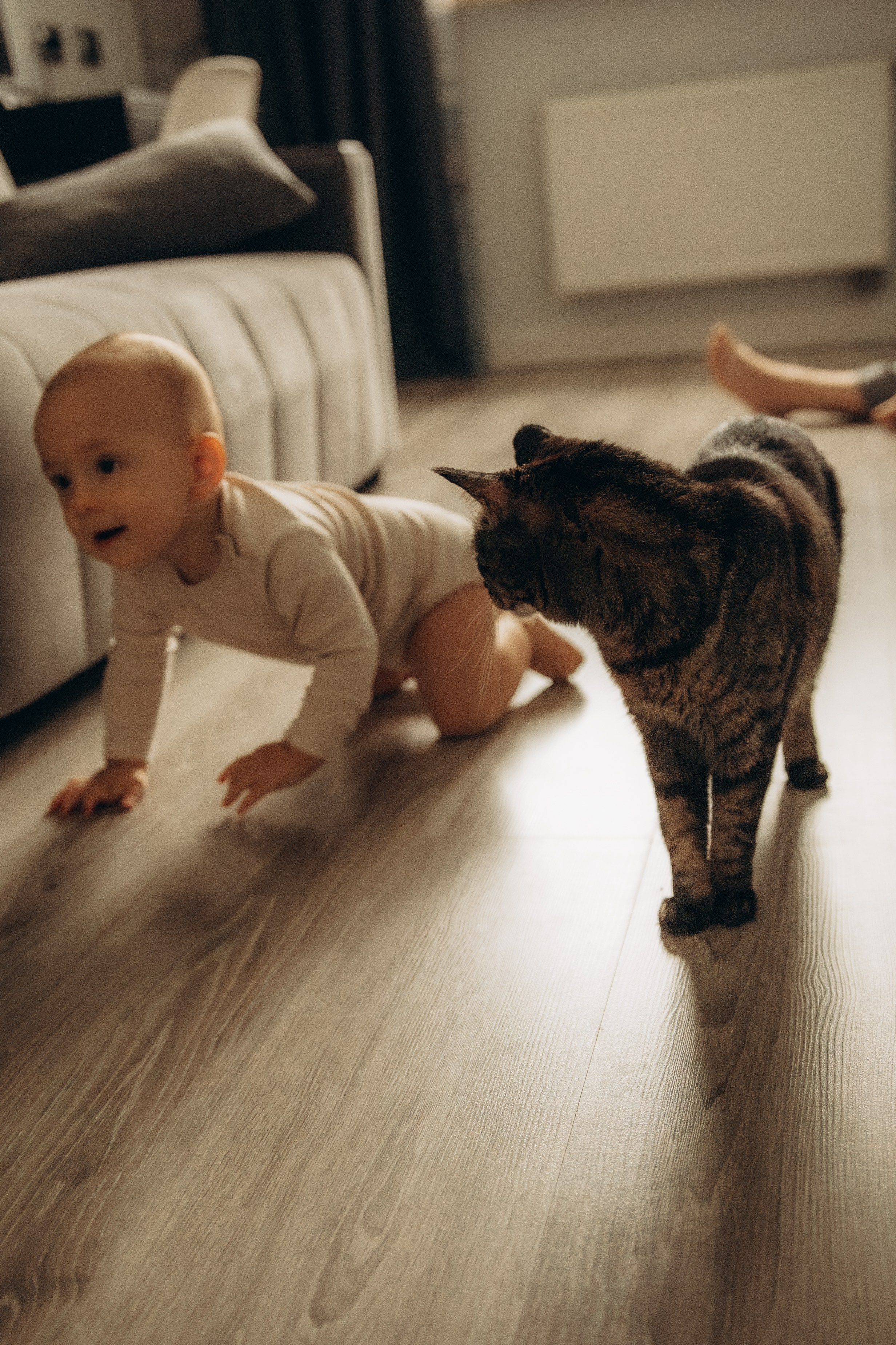 Екатерина и Вася. Гаврилова Настя семейный фотограф lifestyle в Москве