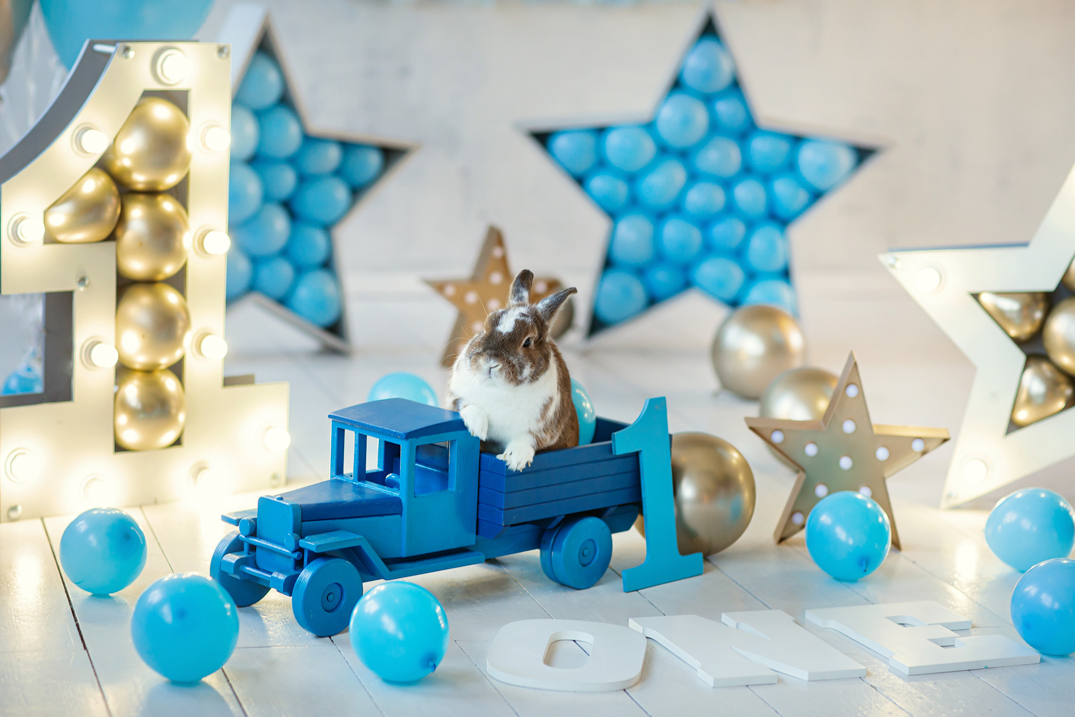 Фотозона с катанием кролика в грузовике. Фотосессия на День Рождения ребенка от Леонардо Бамбино