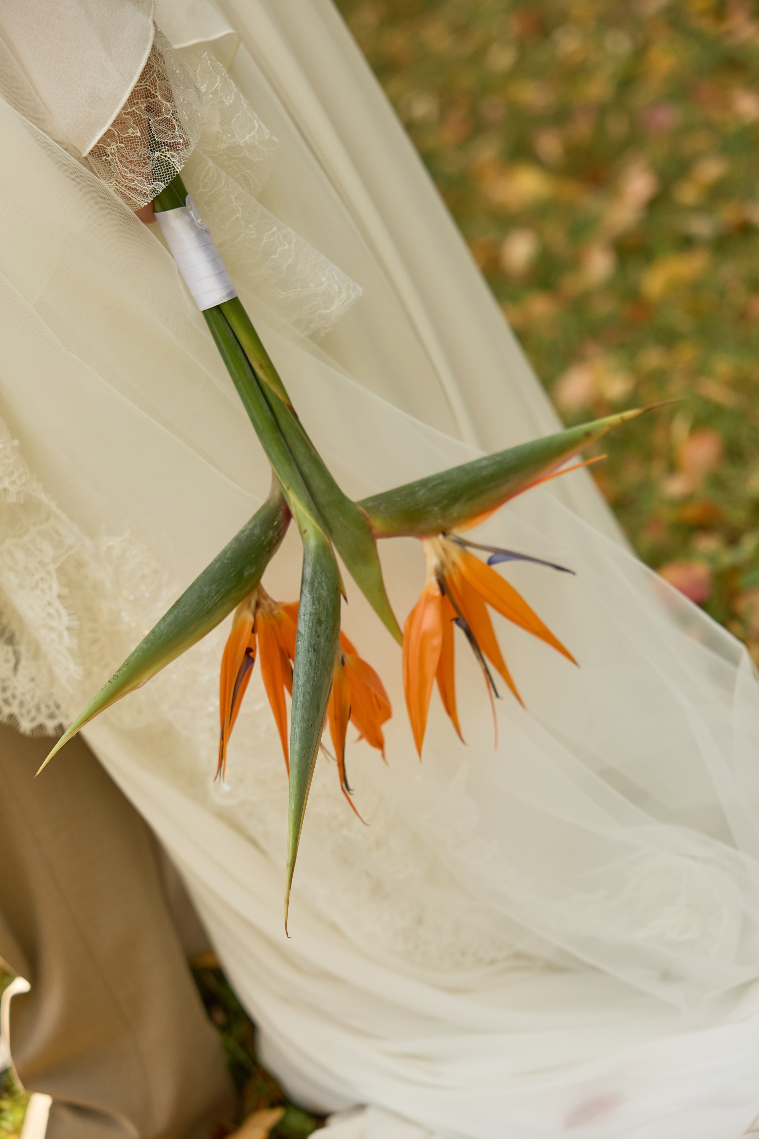 Сергей и Виктория мур мур мур. Kharchenkotatianaweddingphoto