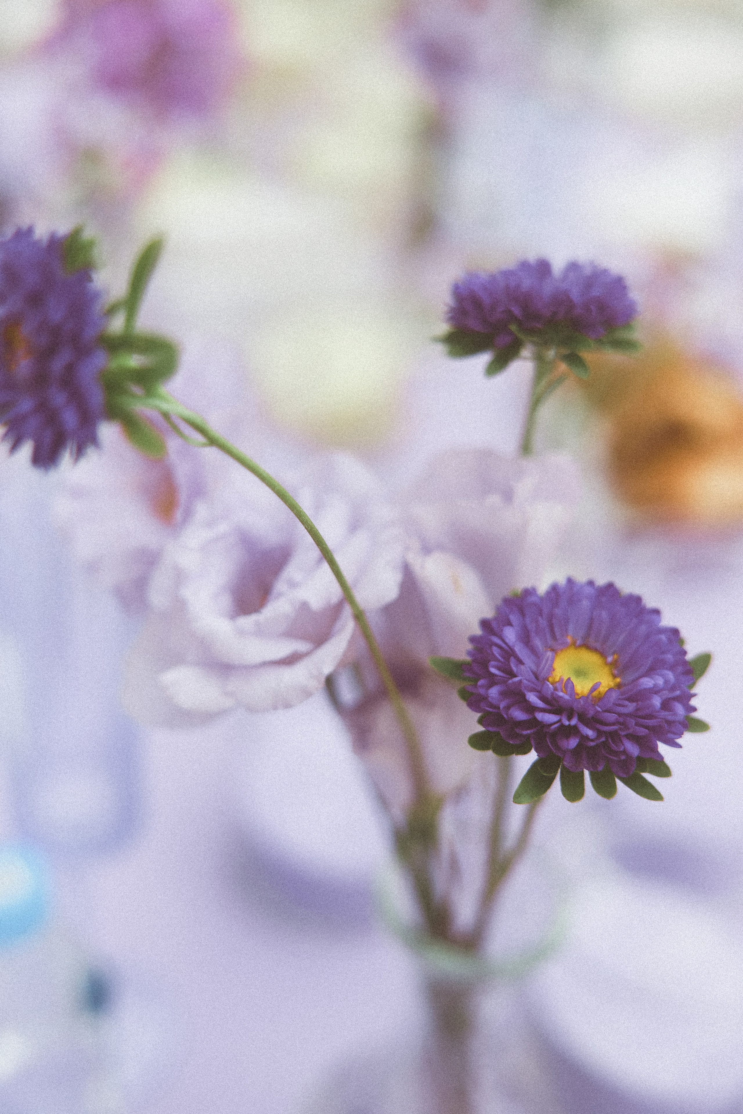 О любви Дмитрия и ЮЛИИ. Kharchenkotatianaweddingphoto