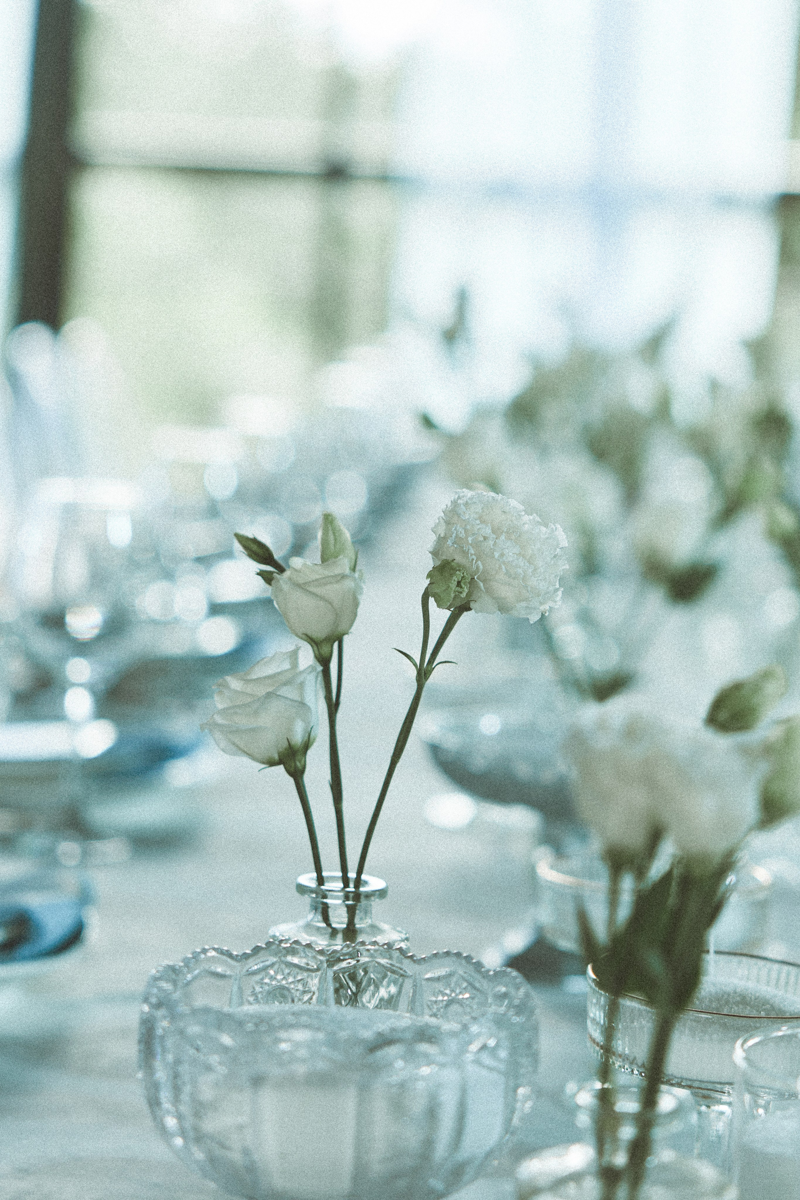 Кирилл и Полина отрадное. Kharchenkotatianaweddingphoto