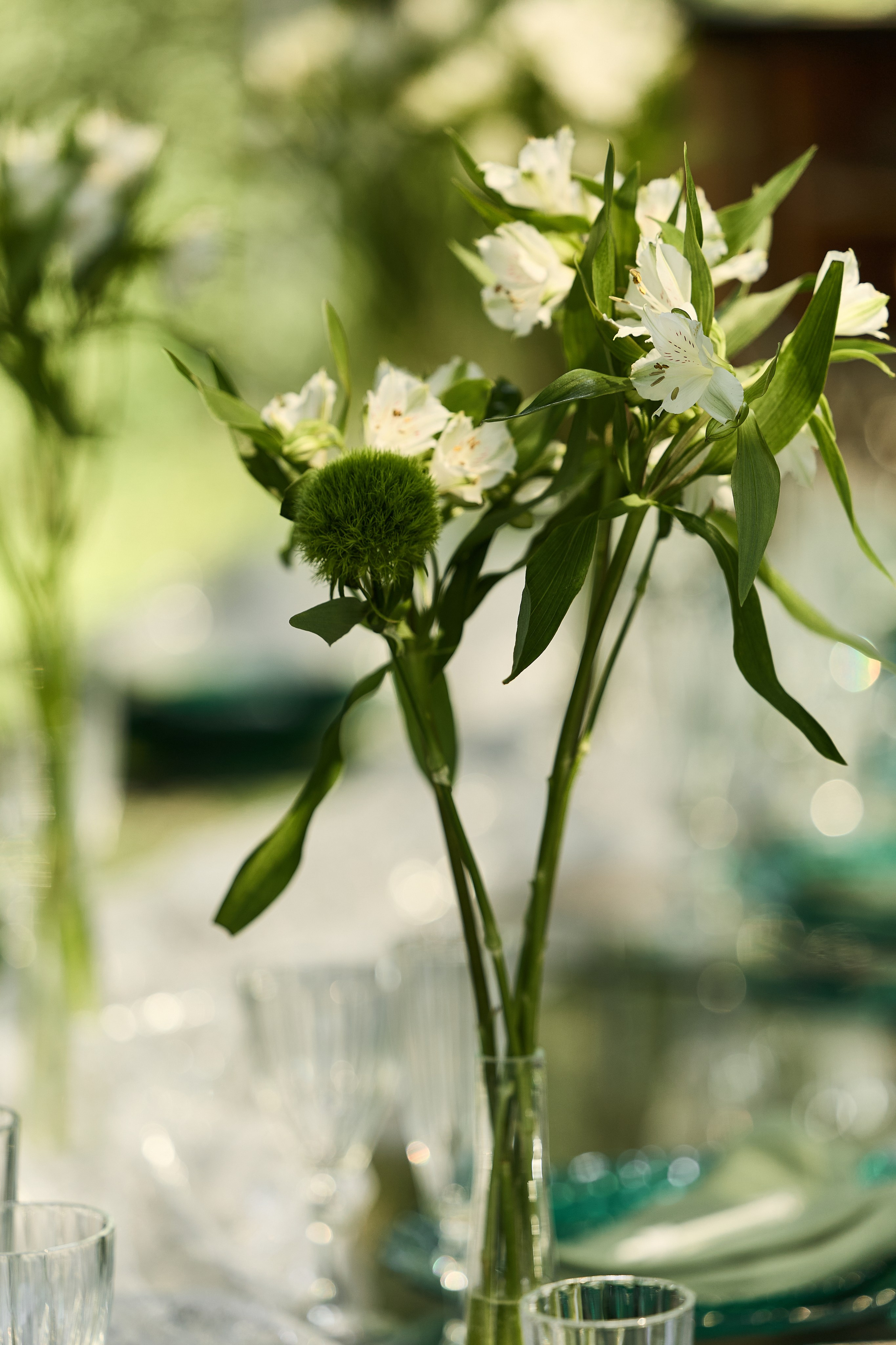 Roman & Julia Green House. Kharchenkotatianaweddingphoto