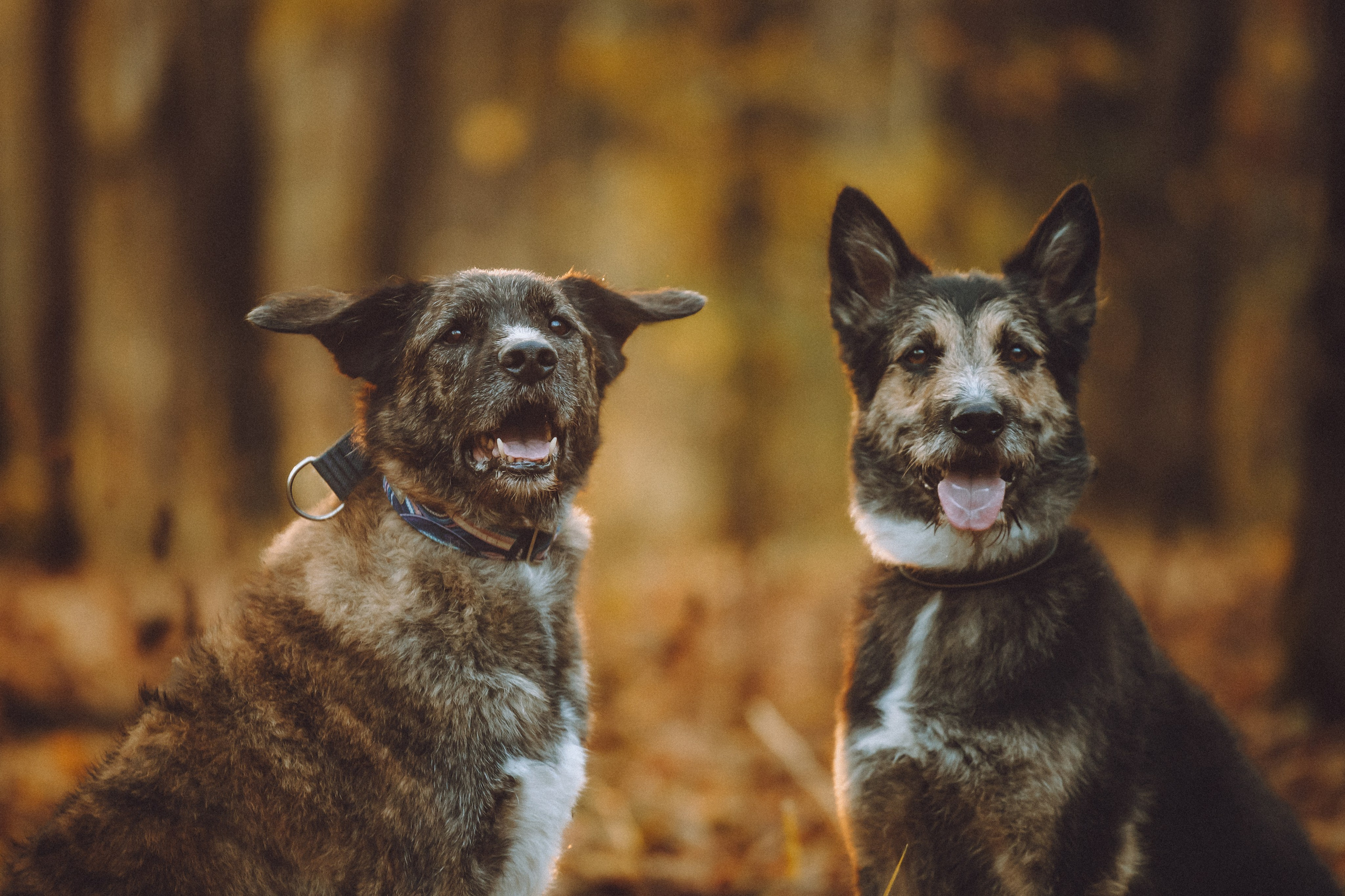 Рик, Джек и их семья