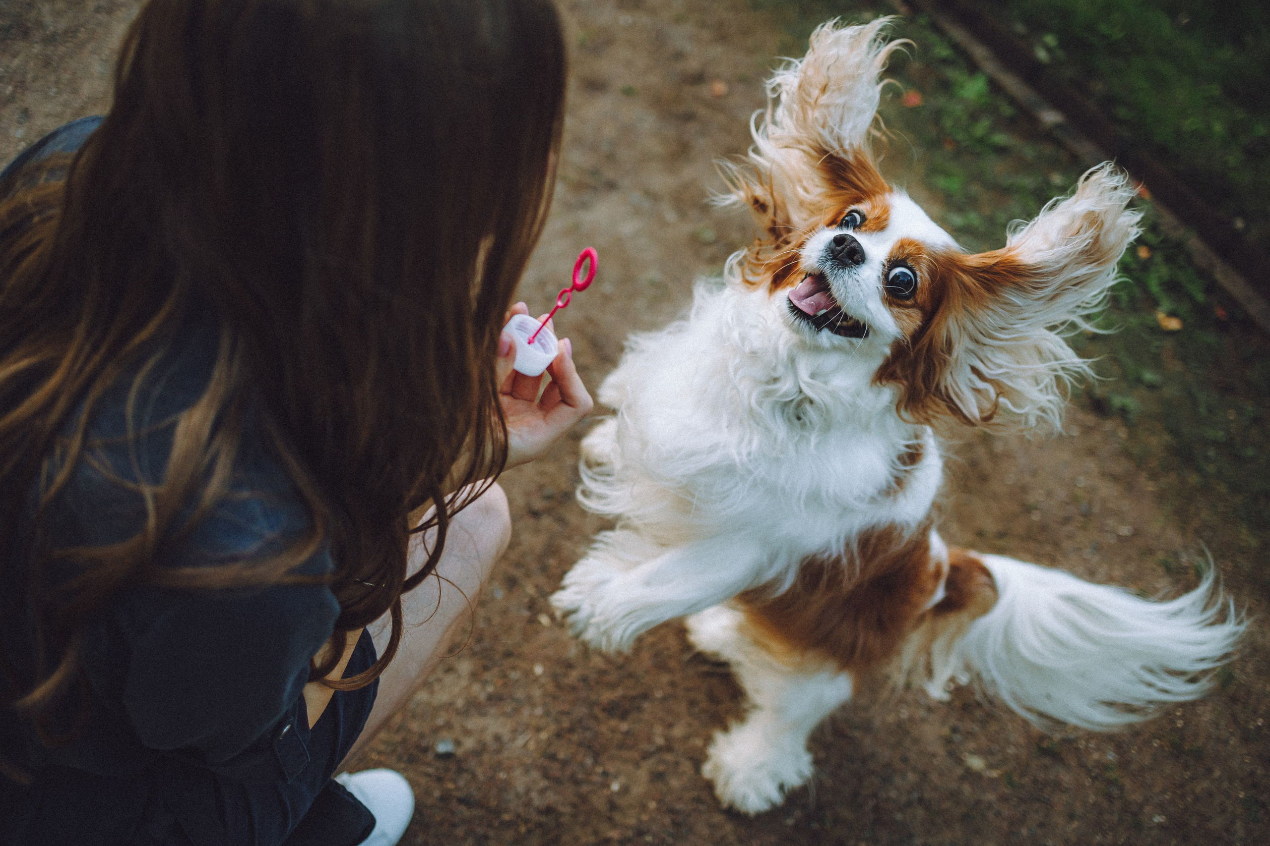 Наташа и Вики