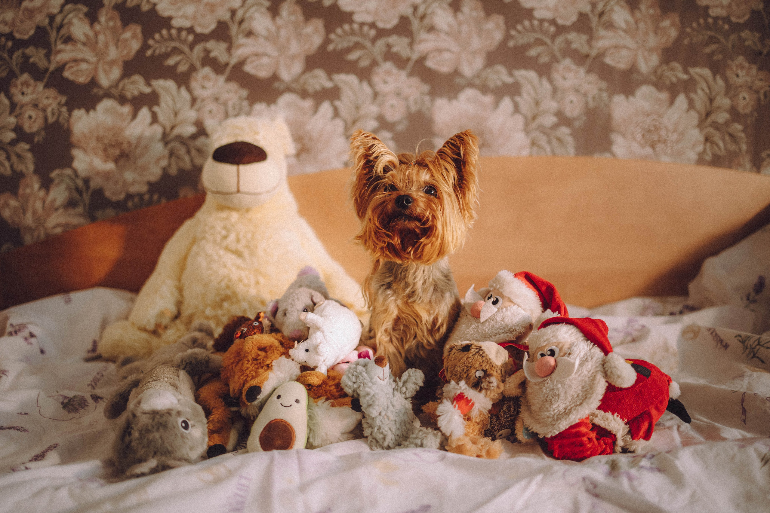 Дэзи и ее семья