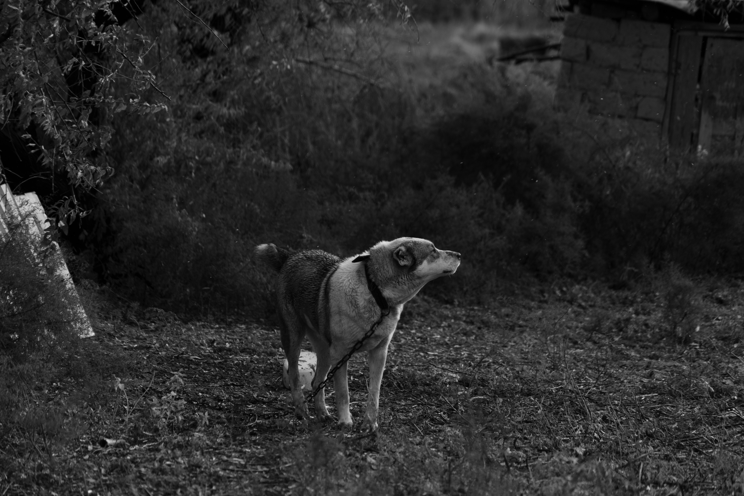 Бекстейдж сьемки кино. Профессиональная съемка в Алматы