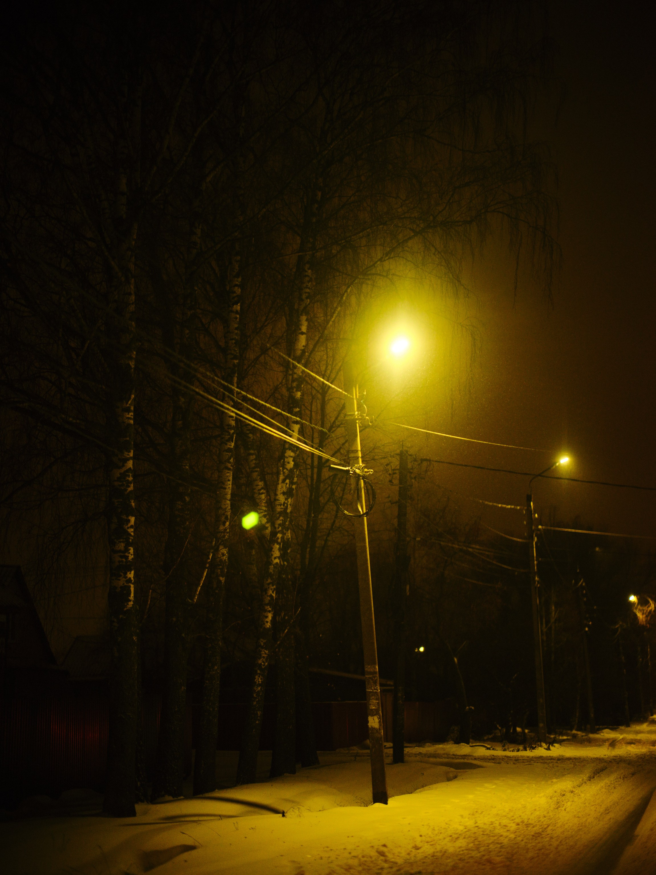 Фотограф Юлия Глазкова