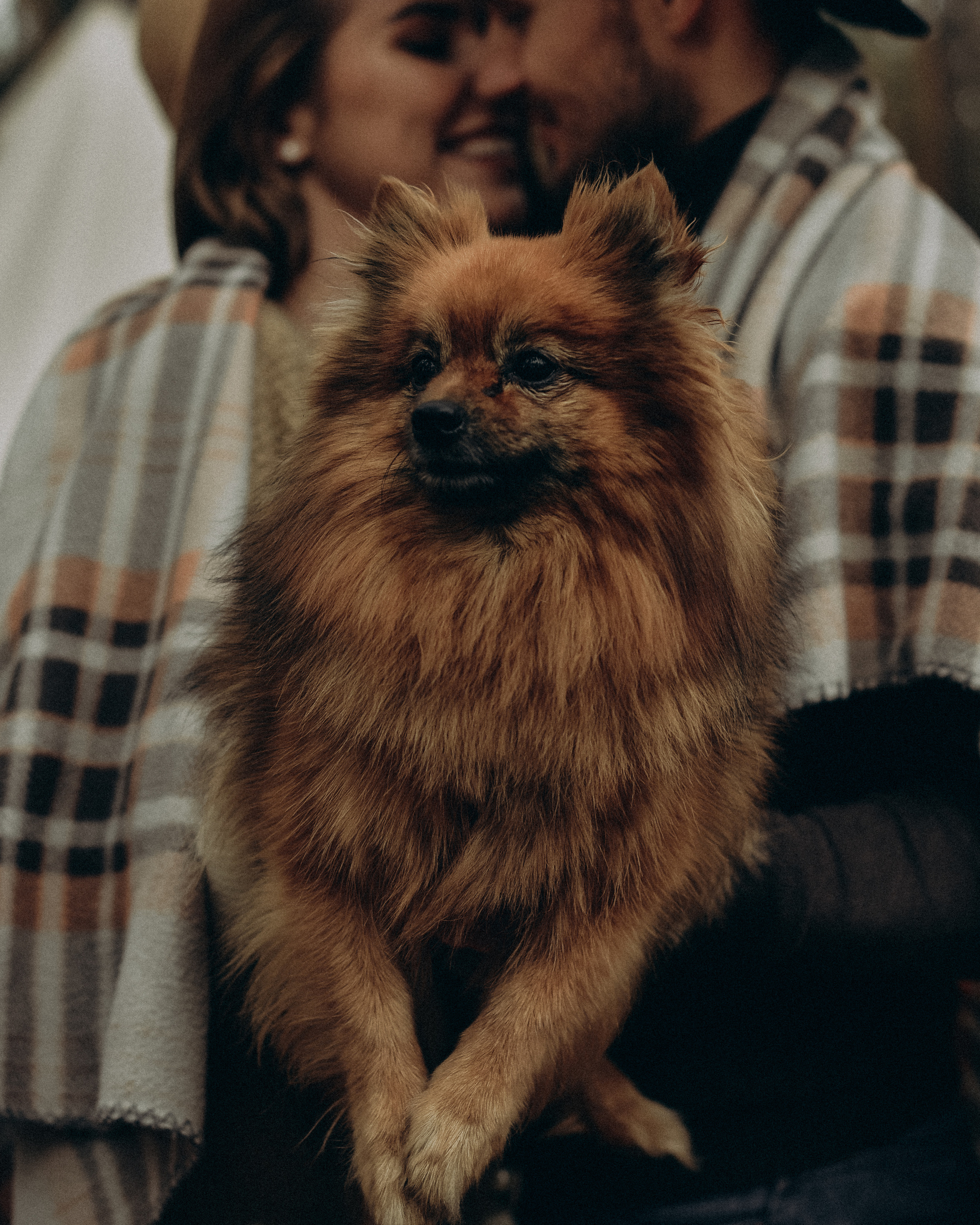 Любовная фотоистория. Фотограф Любовь Подосенова Липецк|Воронеж