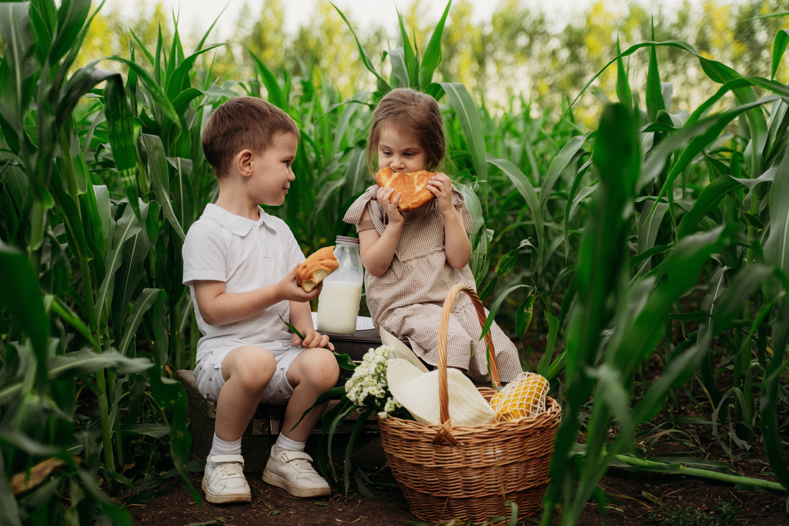 Фотосессия в Кукурузе
