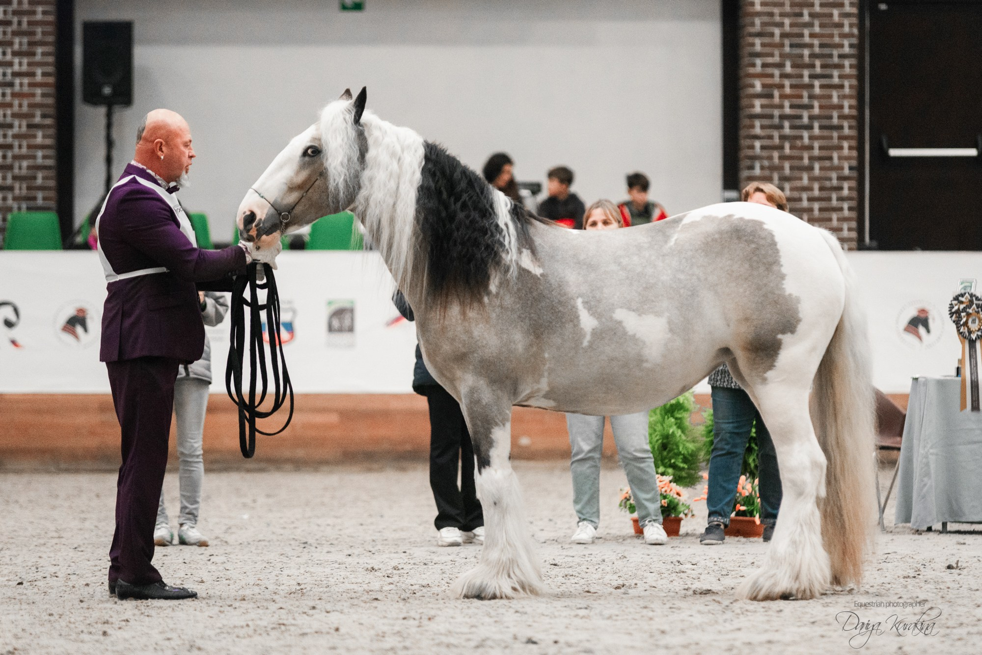 8-я международная выставка Конная Россия. Конный фотограф Куракина Дарья • Фотосессии с лошадьми