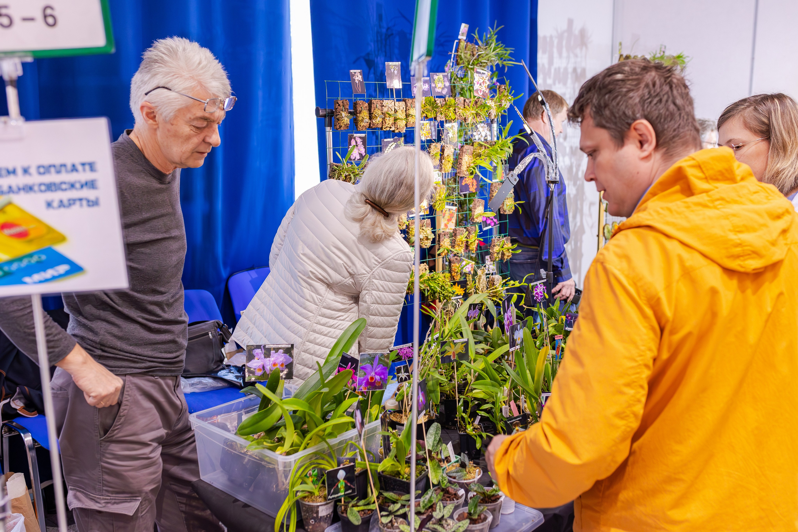 Орхидиум сентябрь 2025. Александра Куликова фотограф, Москва