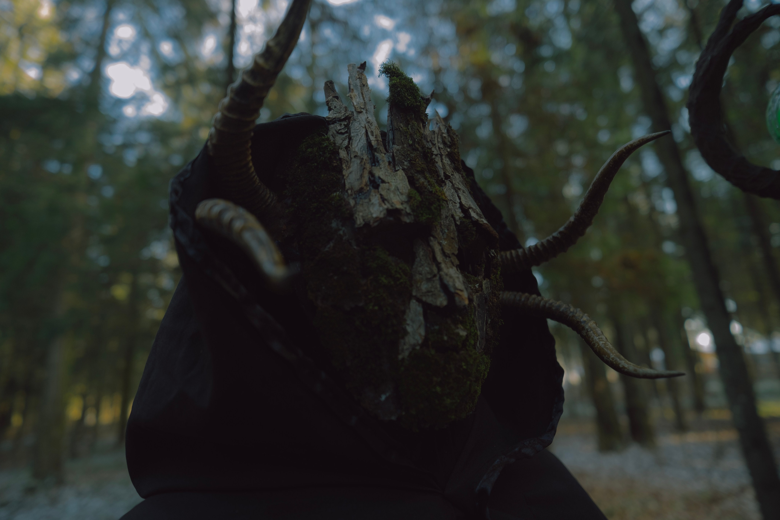 «Дух леса». Фотограф (Москва, Мытищи)— Комова Анастасия