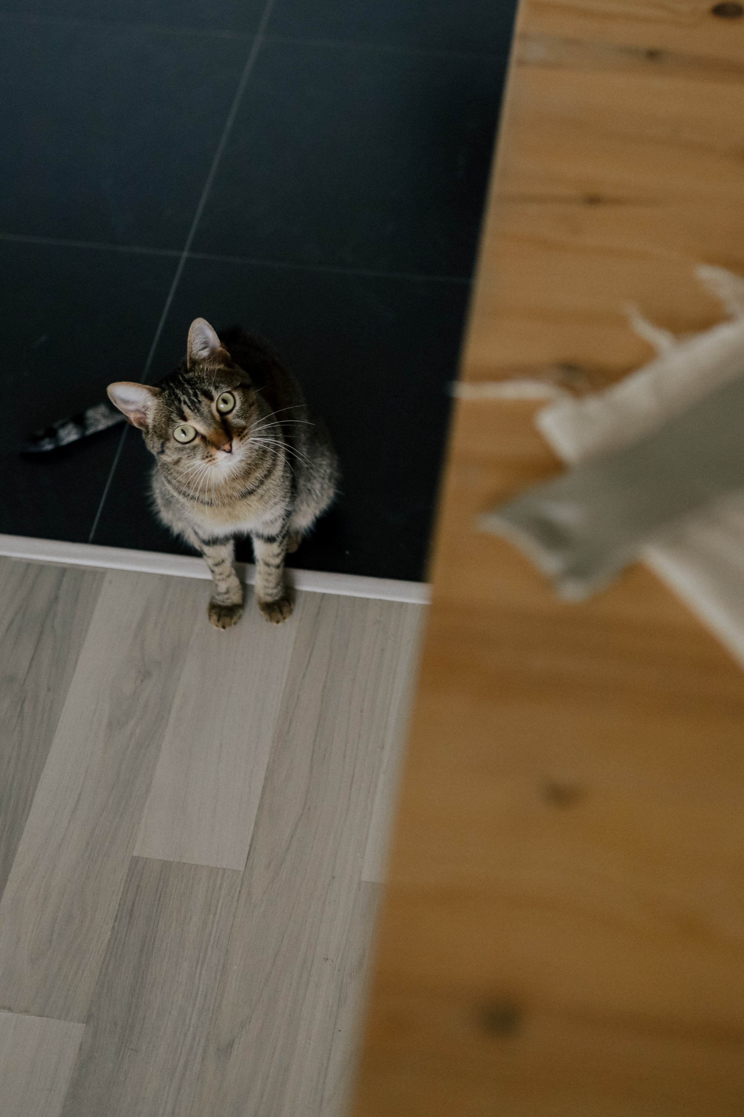 Створювати серцем. Свадебный и семейный фотограф в Варшаве