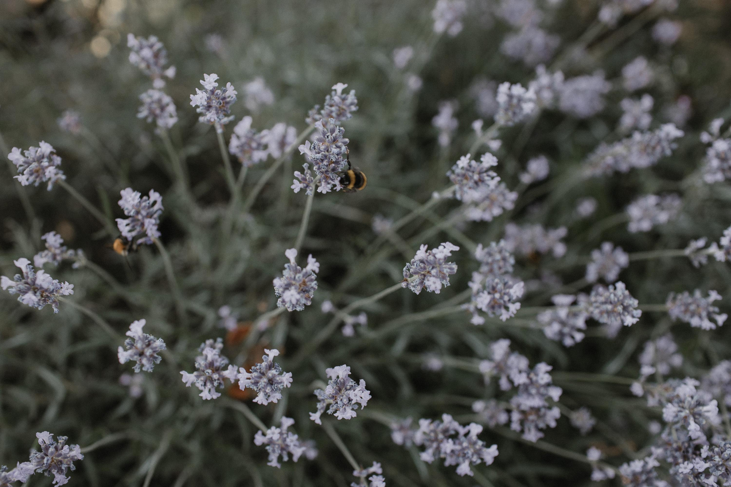 Ваня & Яна. Фотограф Serj Ganso
