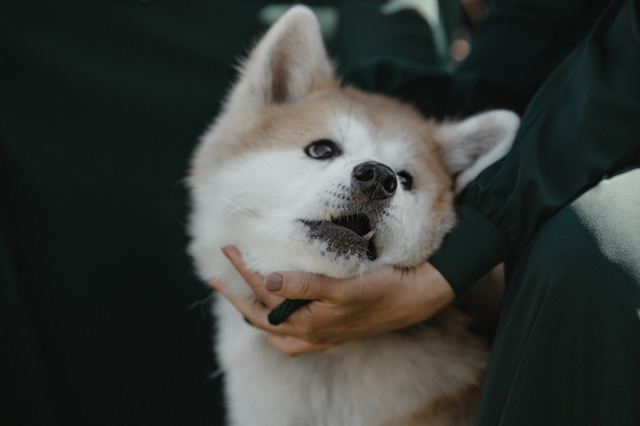 Настя & Женя. Фотограф Serj Ganso