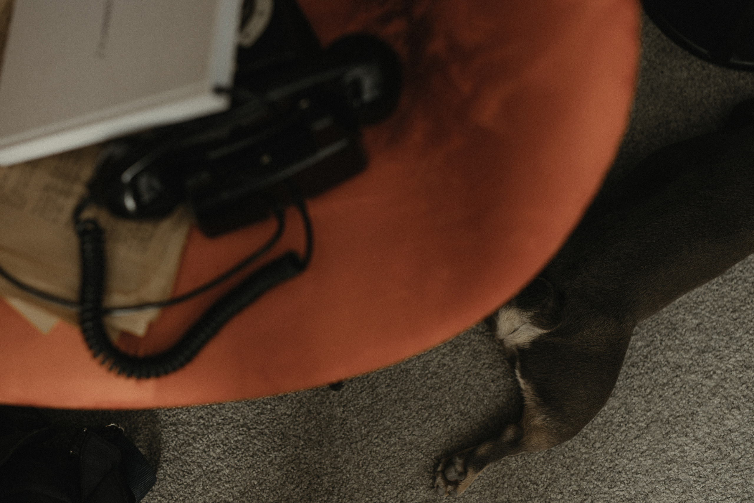 Настя & Вова. Фотограф Serj Ganso