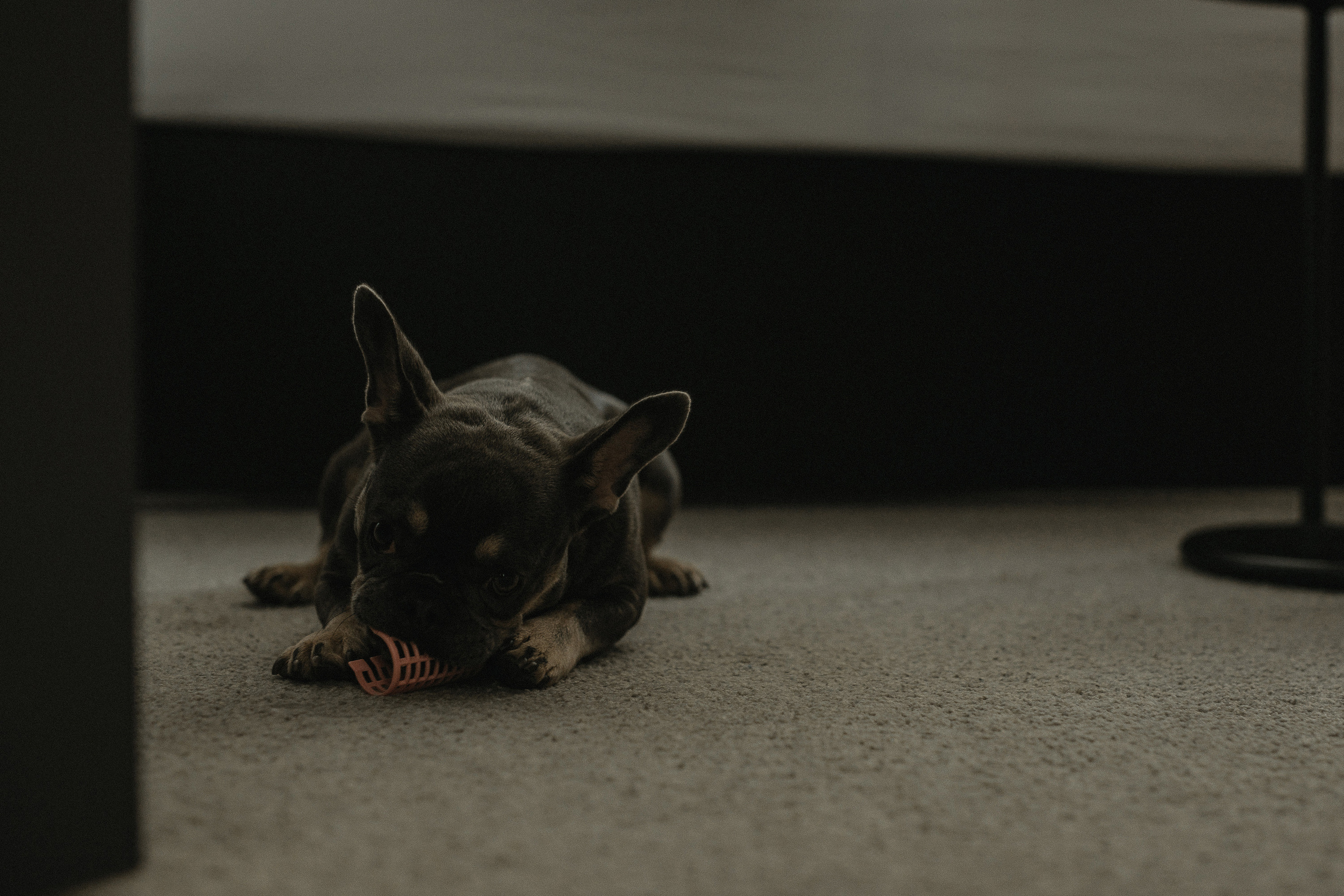 Настя & Вова. Фотограф Serj Ganso