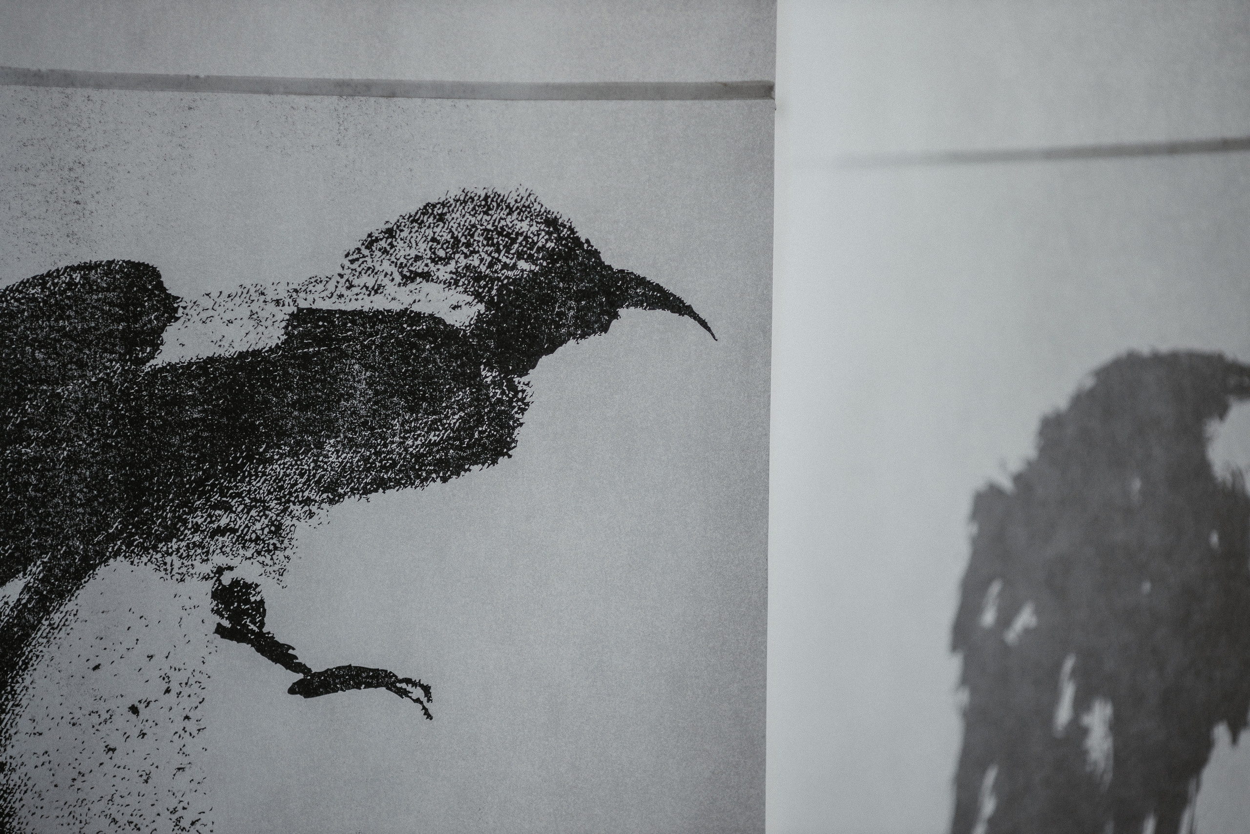 Настя & Женя. Фотограф Serj Ganso