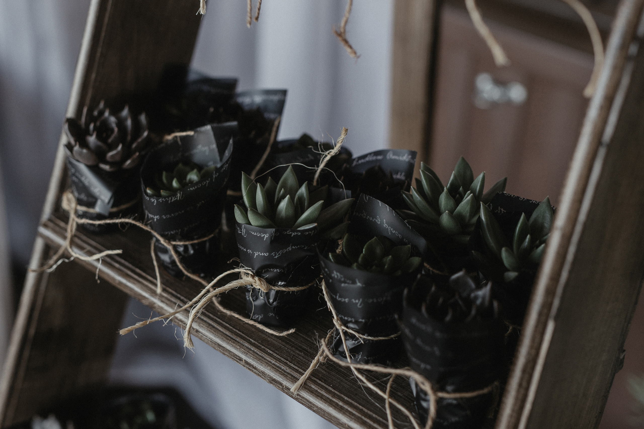 Настя & Женя. Фотограф Serj Ganso